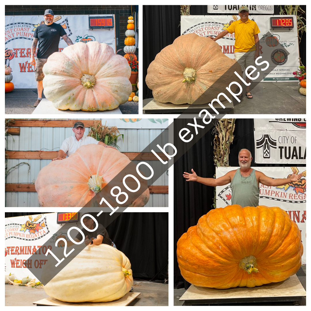 1200-1800 lb examples.png