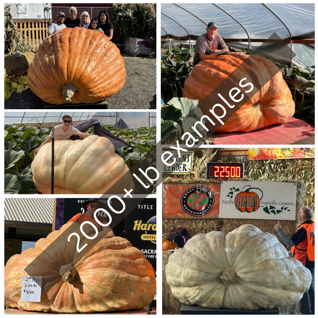 2000+ lb examples.png