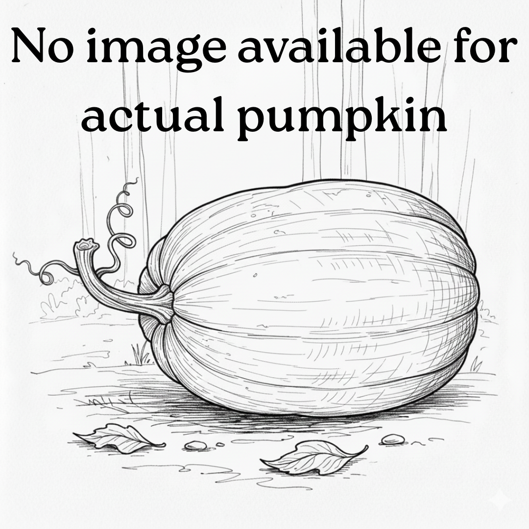 longGourd-Not actual pumpkin.png