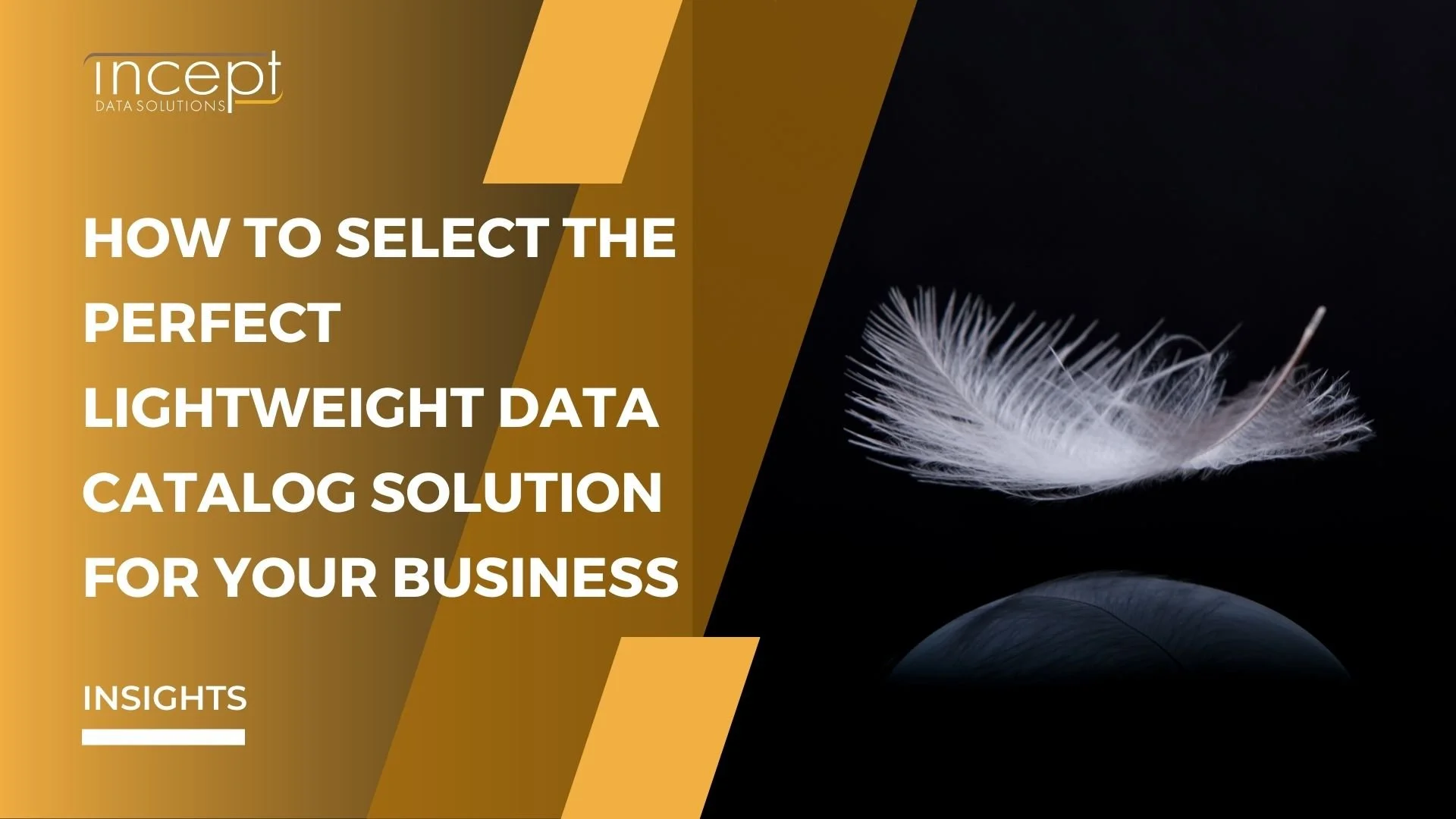 How to select the perfect lightweight data catalog solution for your business