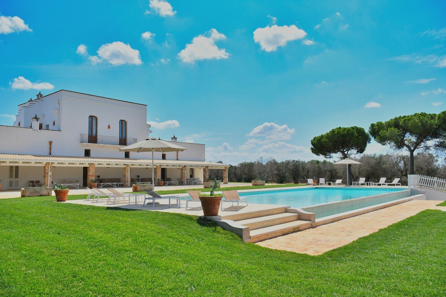 What do you think if I say relax?
.
.
.
#pool #relax #relaxingtime #swimming #swimmingpool #masseria #masseriasamali #masseriedipuglia #puglia #salento #salentodaamare #holyday #summerholyday #gettingready #summer2022 #sun #sunbath #chilloutzone #ren