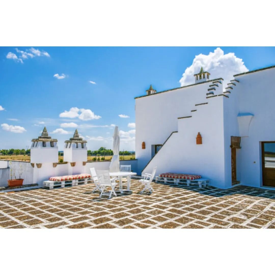 Sui tetti 🤍
Belvedere _ Homestay
.
.
.
#howitalyfeels #masseriepugliesi #blueaesthetic #naturelover #homeisafeelingnotaplace #mediterraneo #southernliving #vacanzeitaliane #weareinpuglia