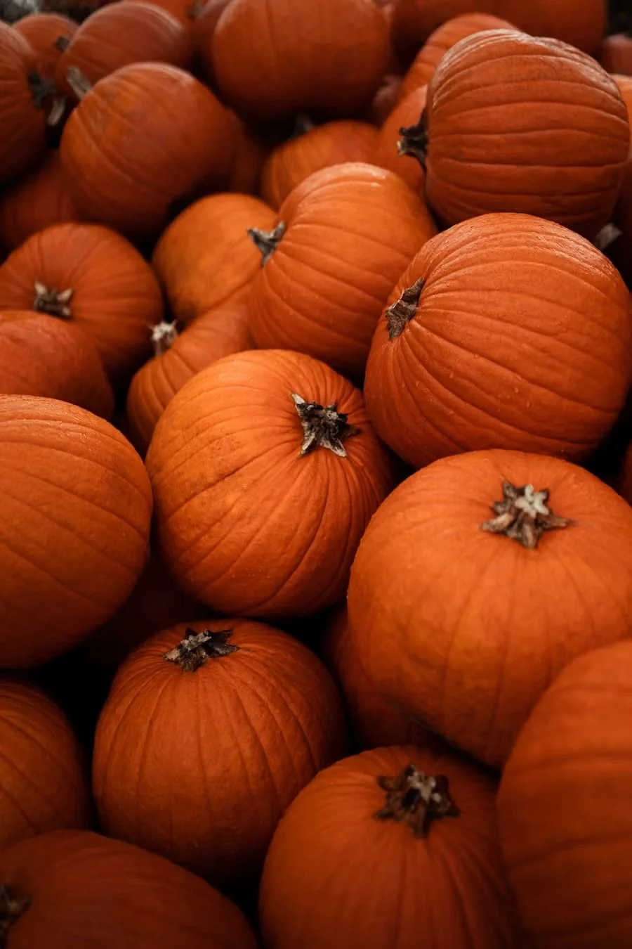 October Picks