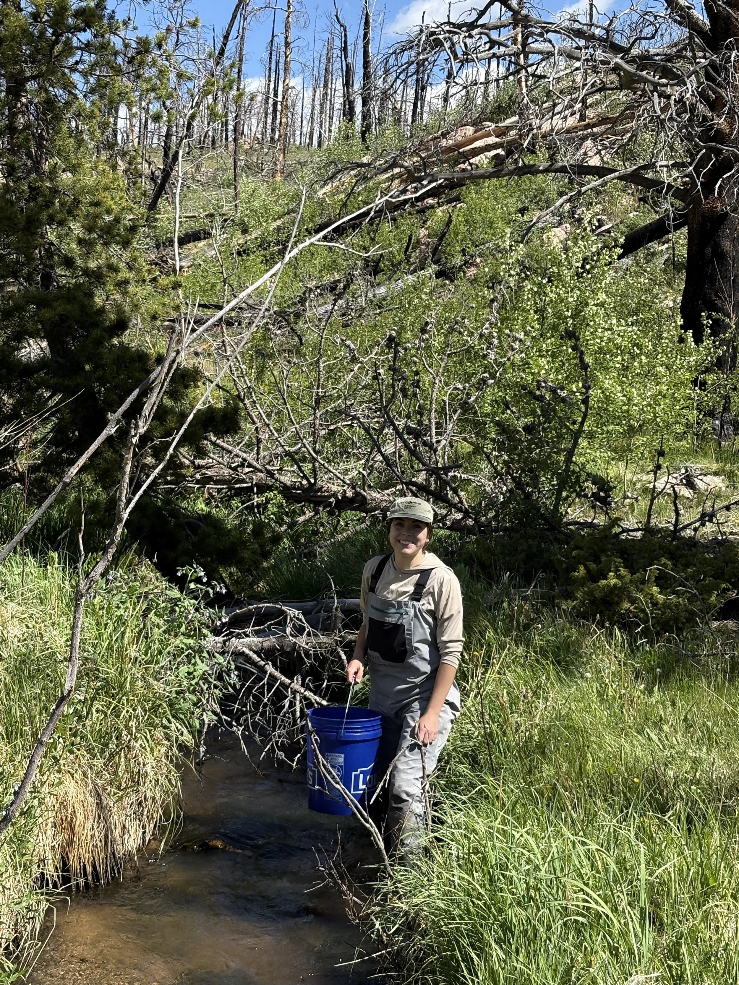 A woman wearing aders stands in a stream holding a blue bucket