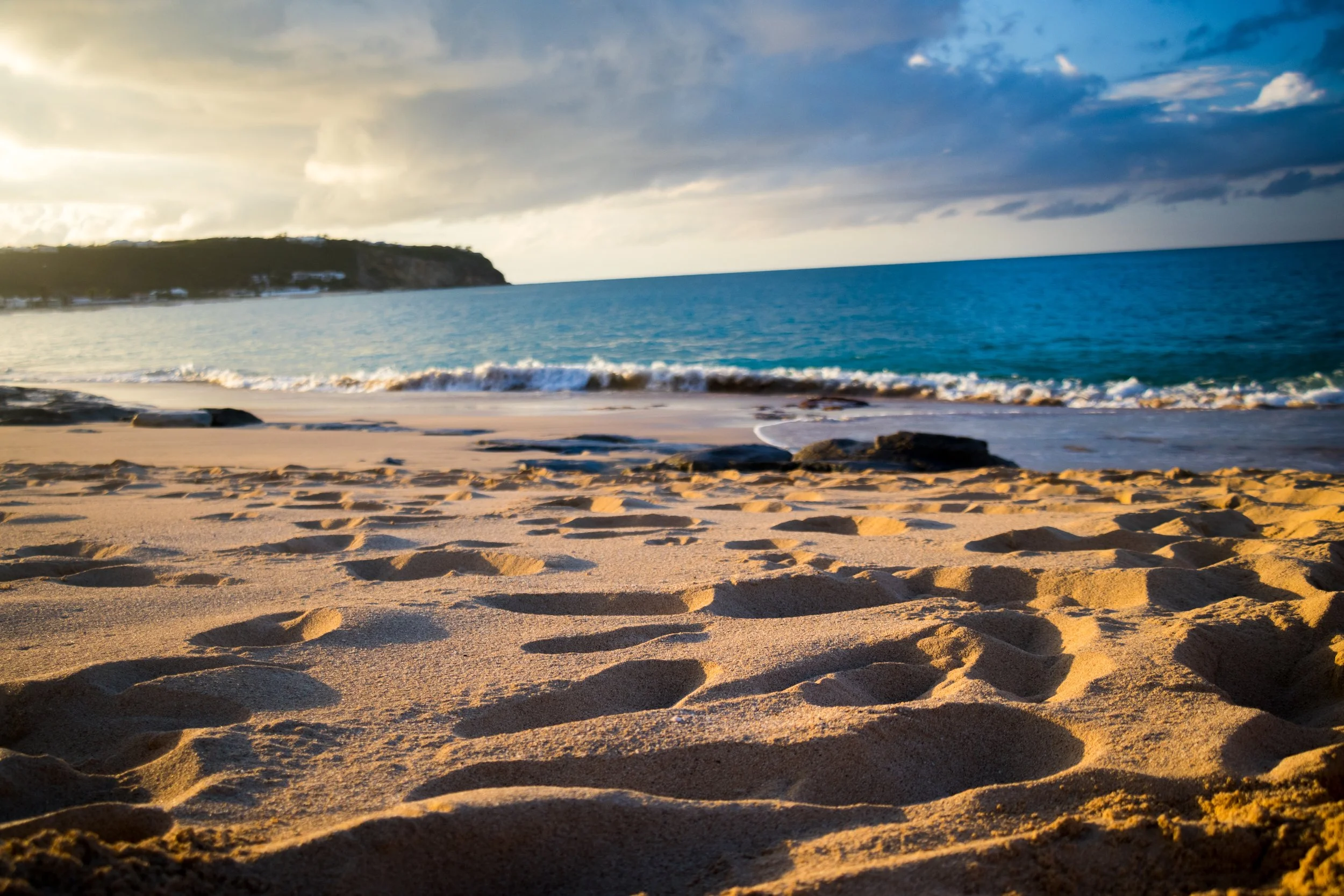 IMG_1637.jpg