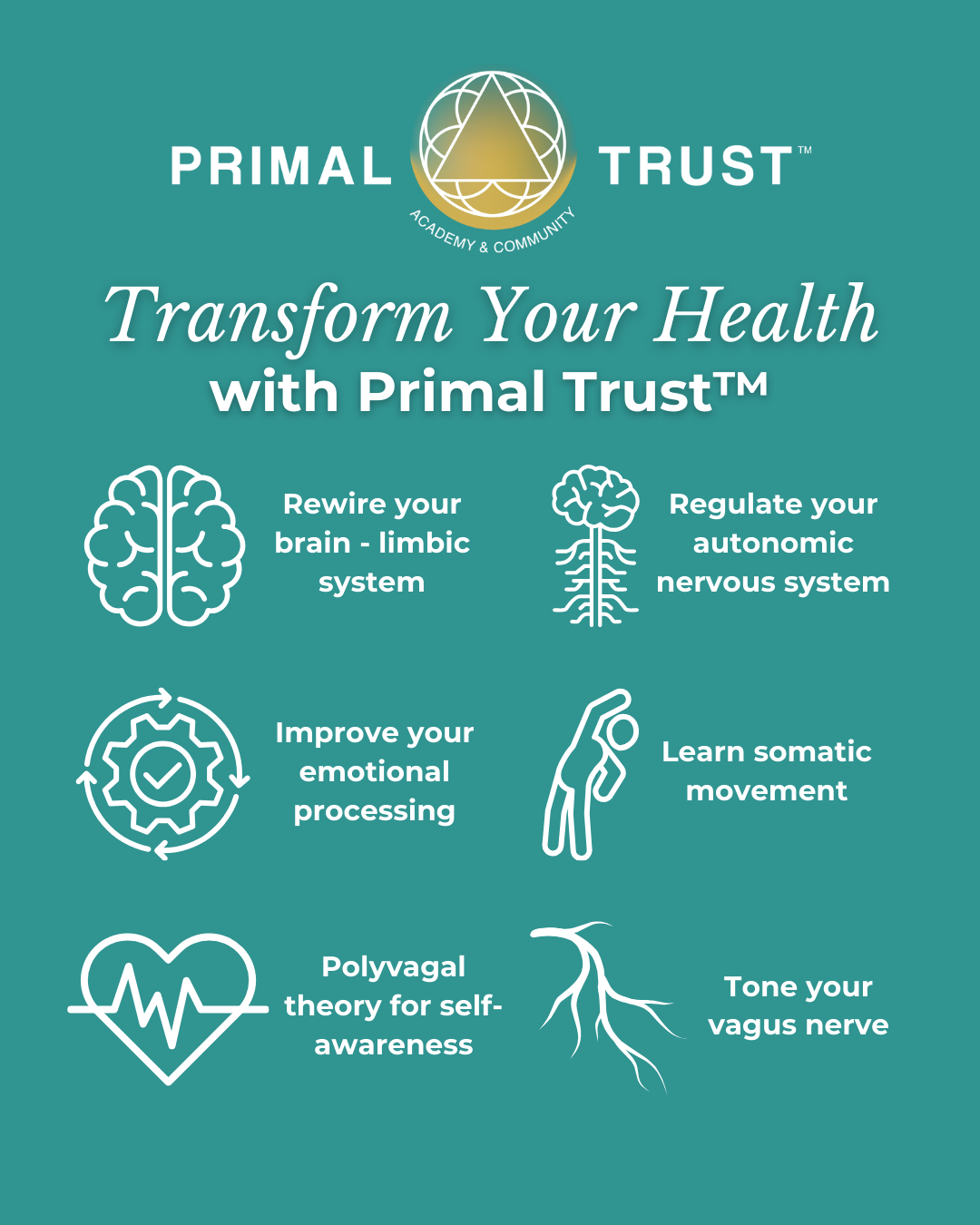 *This is an affiliate link