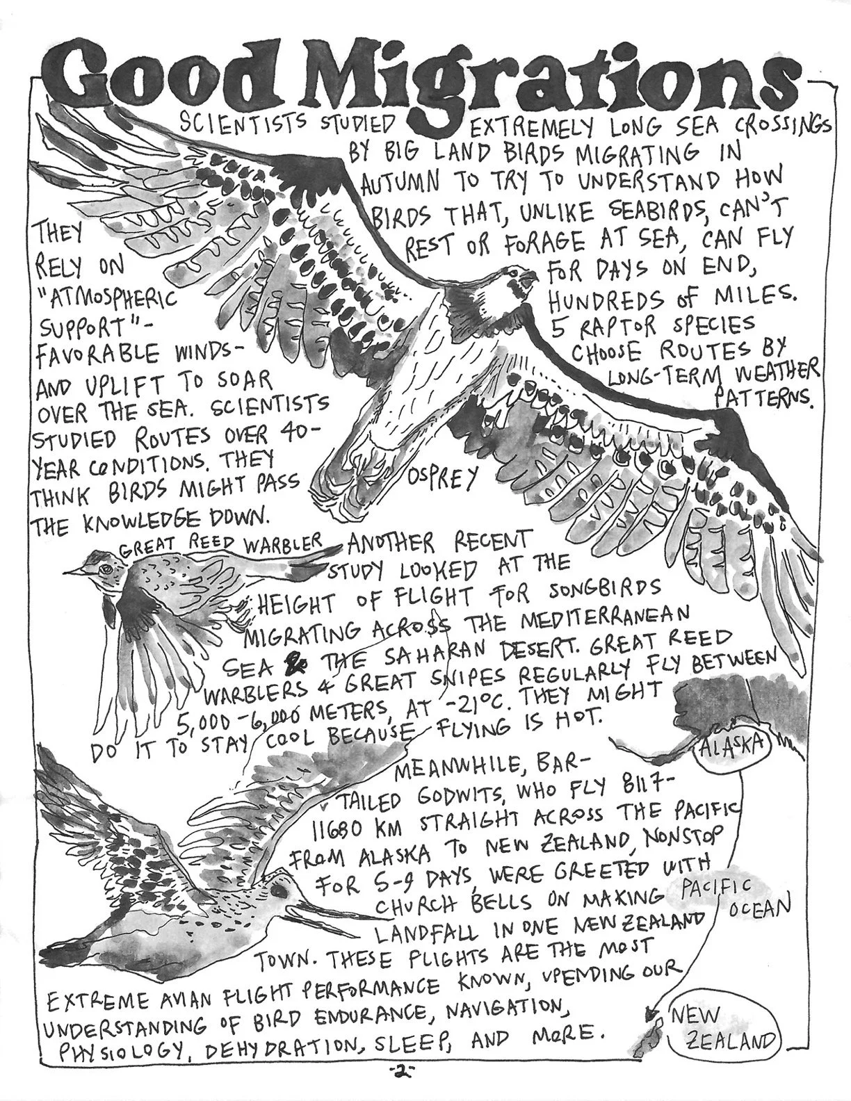 The Perrin R. Ireland Update - September 2021 (Back)