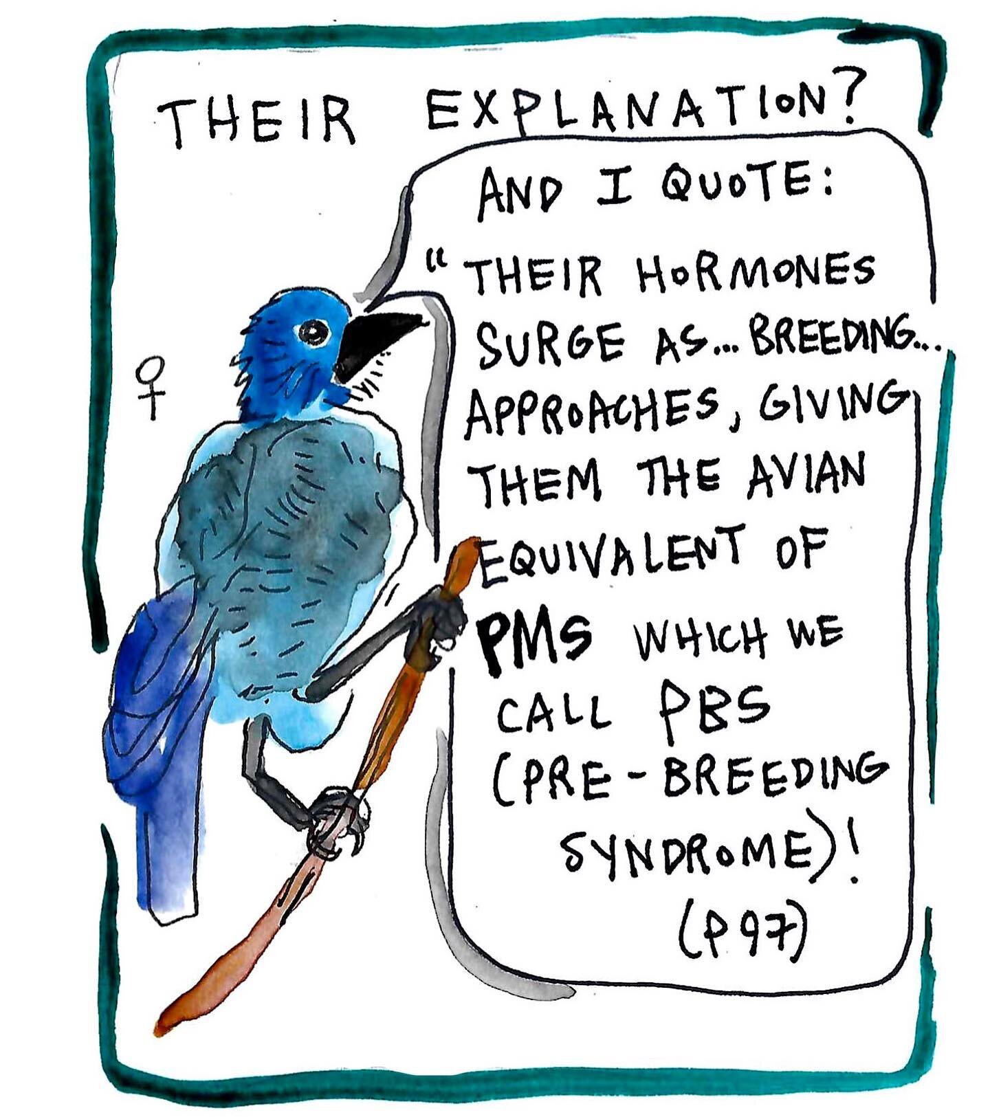 Paid subscribers to the Thirsty Science Substack got a comic this week about that time some male bird scientists decided female pinyon jays fought due to the equivalent of &ldquo;avian PMS&rdquo;. Link in bio to subscribe!