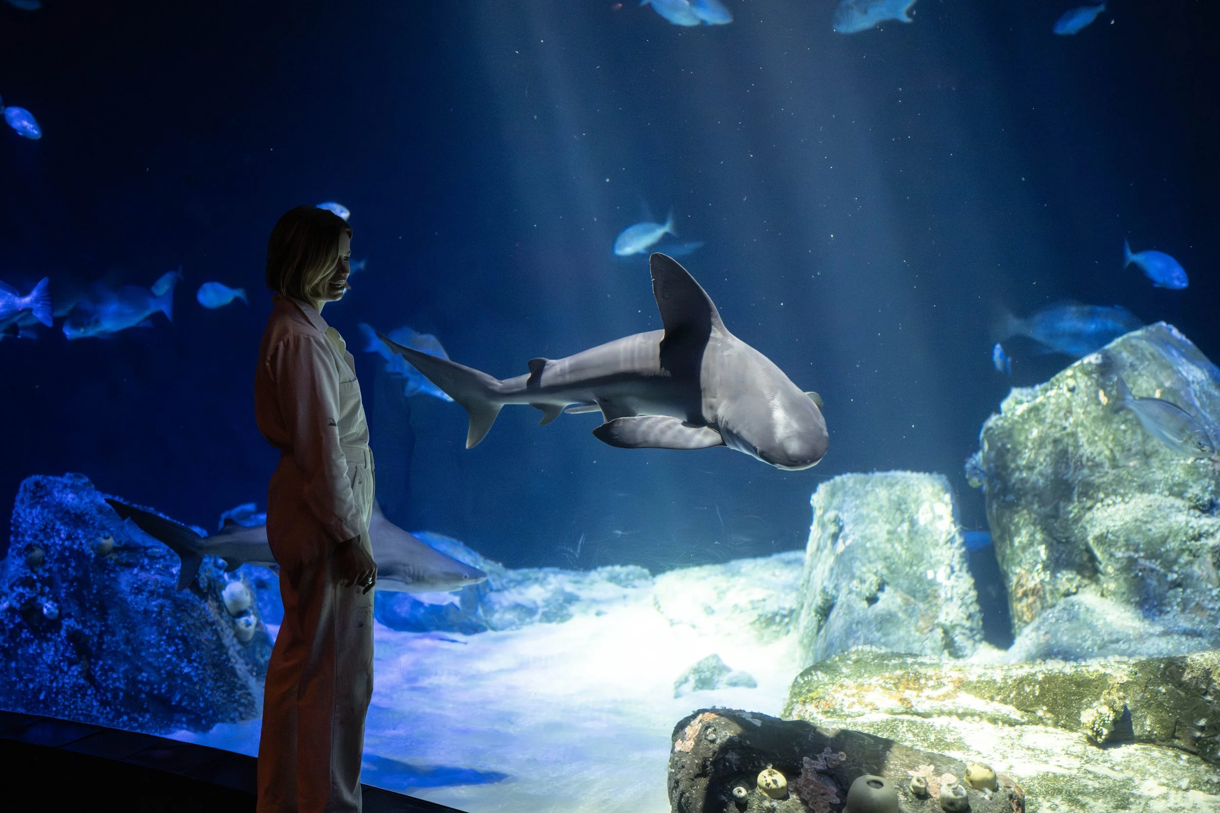 Terria Clay_4375_Artists in Residence and Hudson Canyon Live Stream_OWS_AQ_20250923.jpg