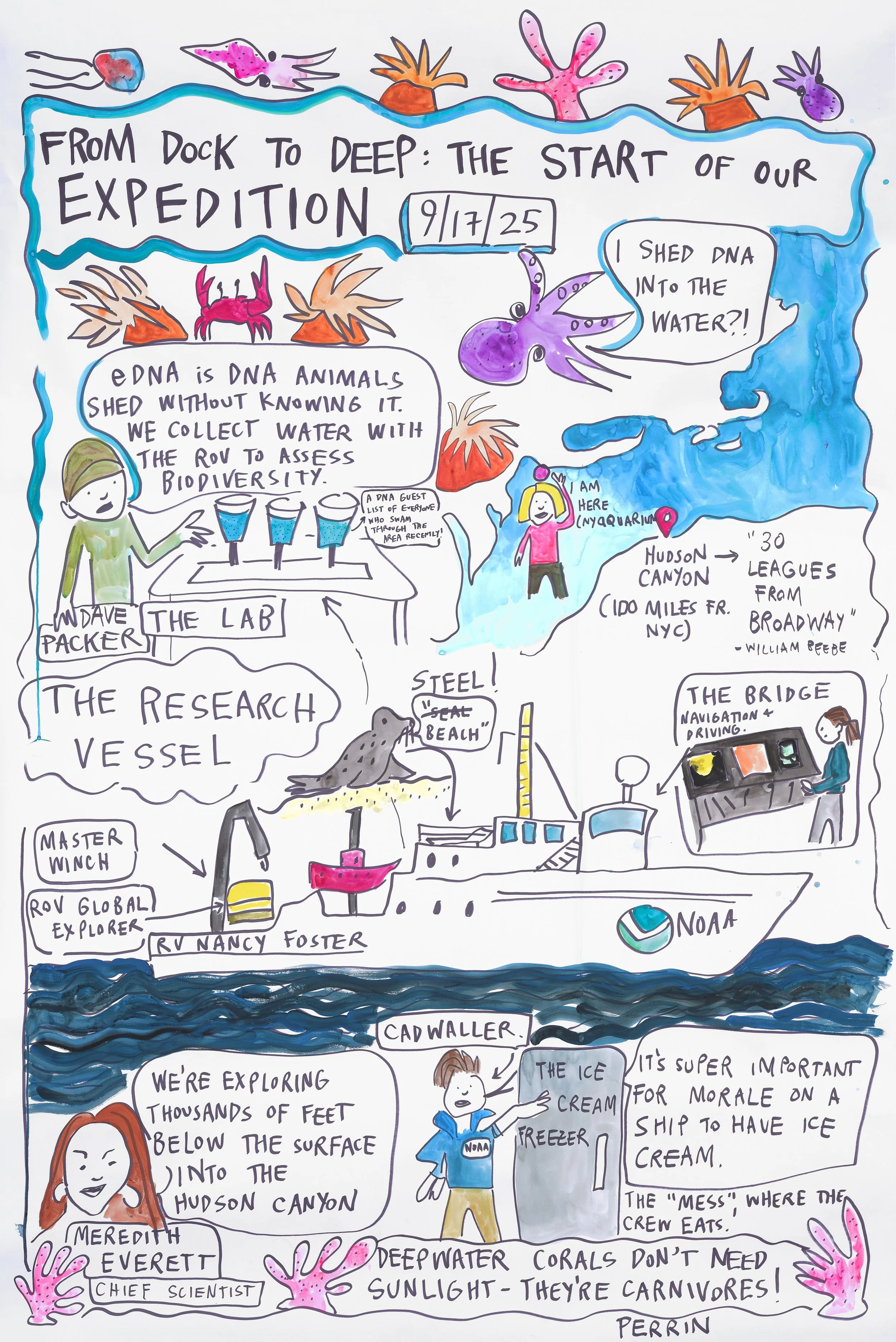 Perrin Ireland-27-JPEG-72dpi-Web-Use.jpg