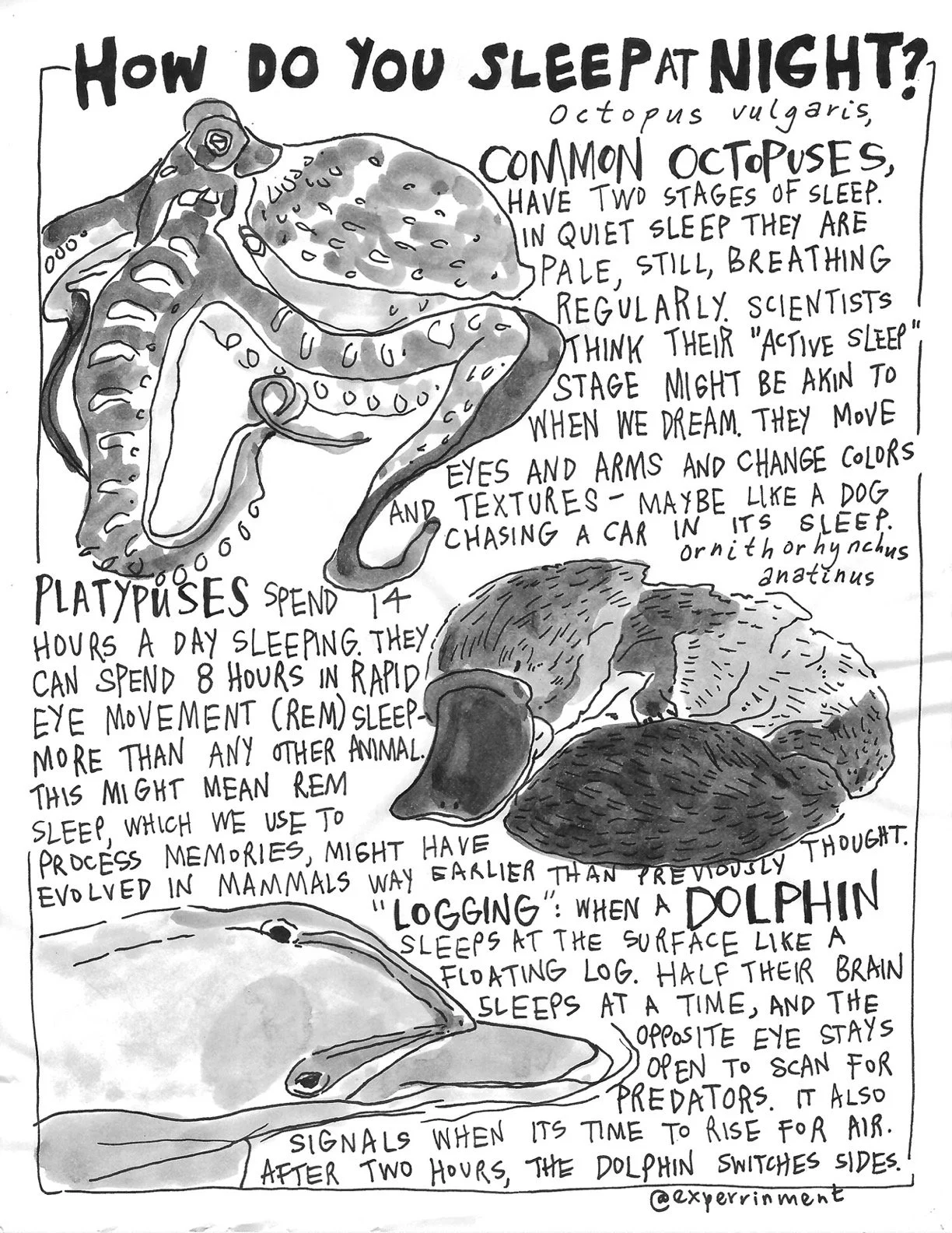 The Perrin R. Ireland Update - April 2021 (Back)