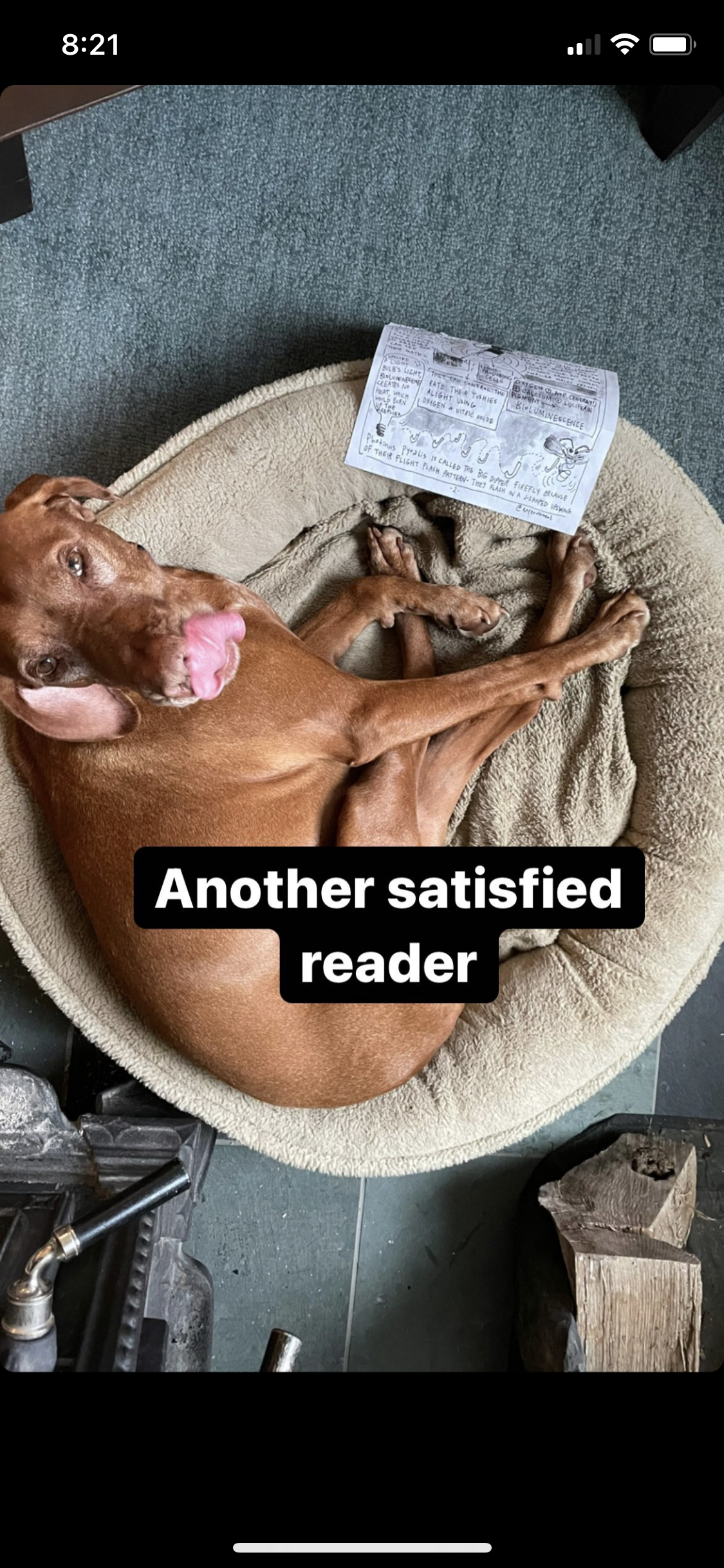 puppy reader.PNG