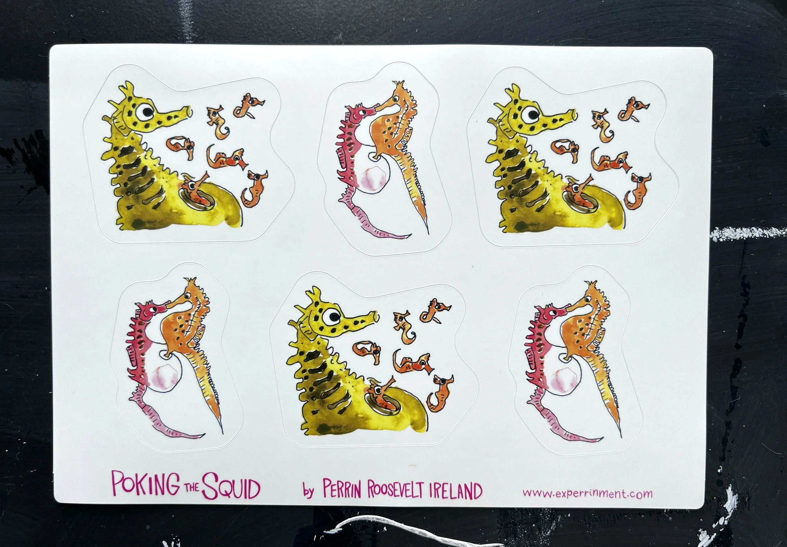 seahorses real.jpg