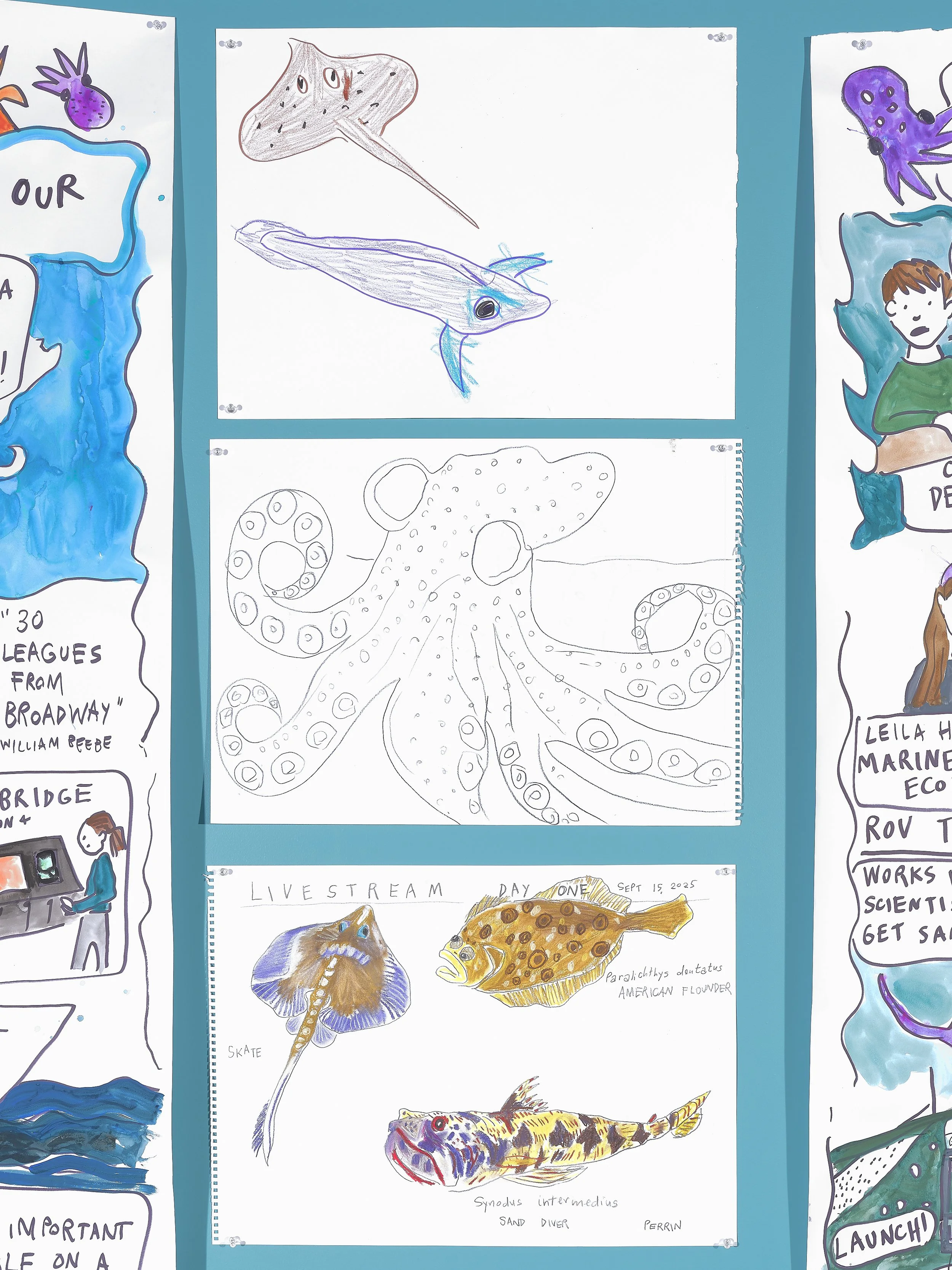 Perrin Ireland-32-JPEG-72dpi-Web-Use.jpg