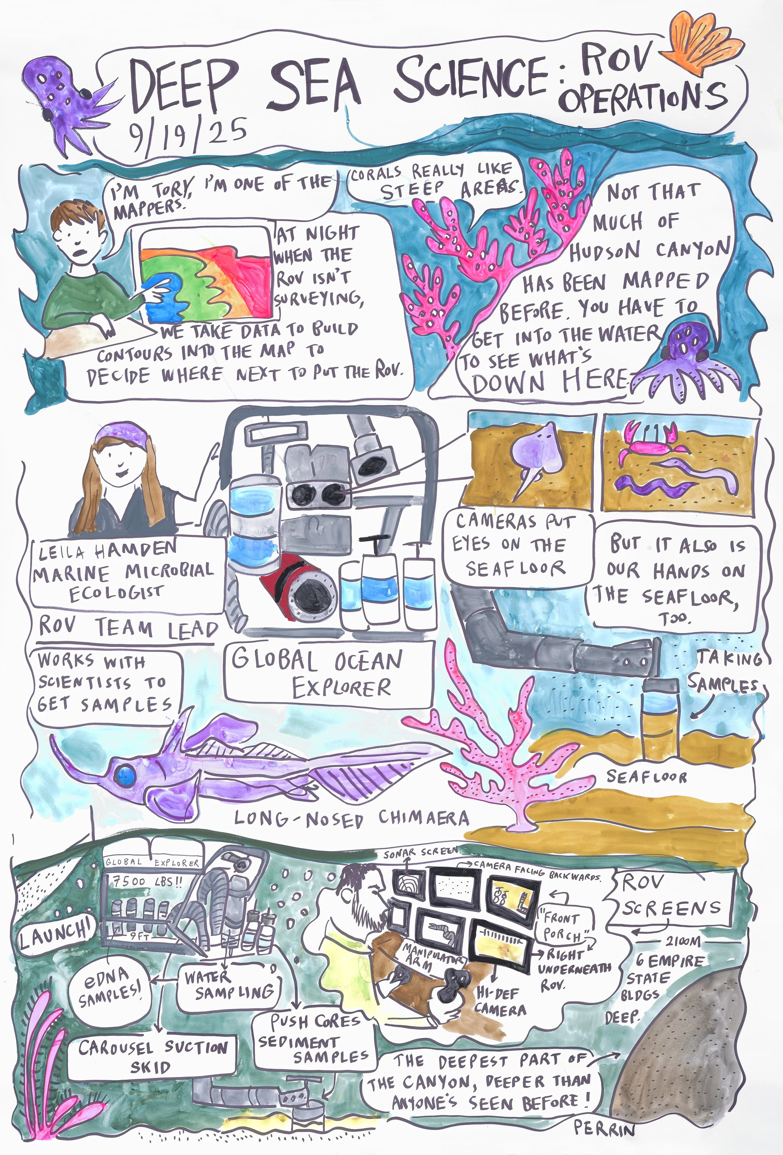 Perrin Ireland-31-JPEG-72dpi-Web-Use.jpg