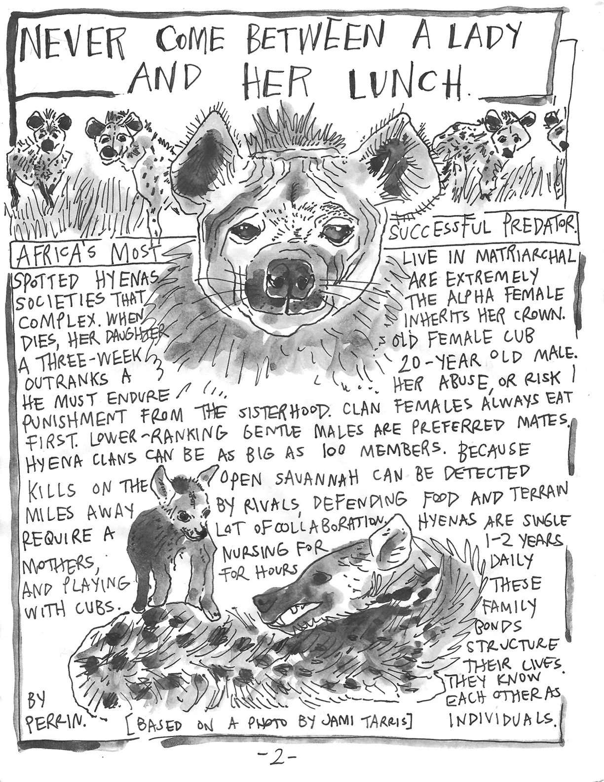 The Perrin R. Ireland Update - January 2022 (Back)