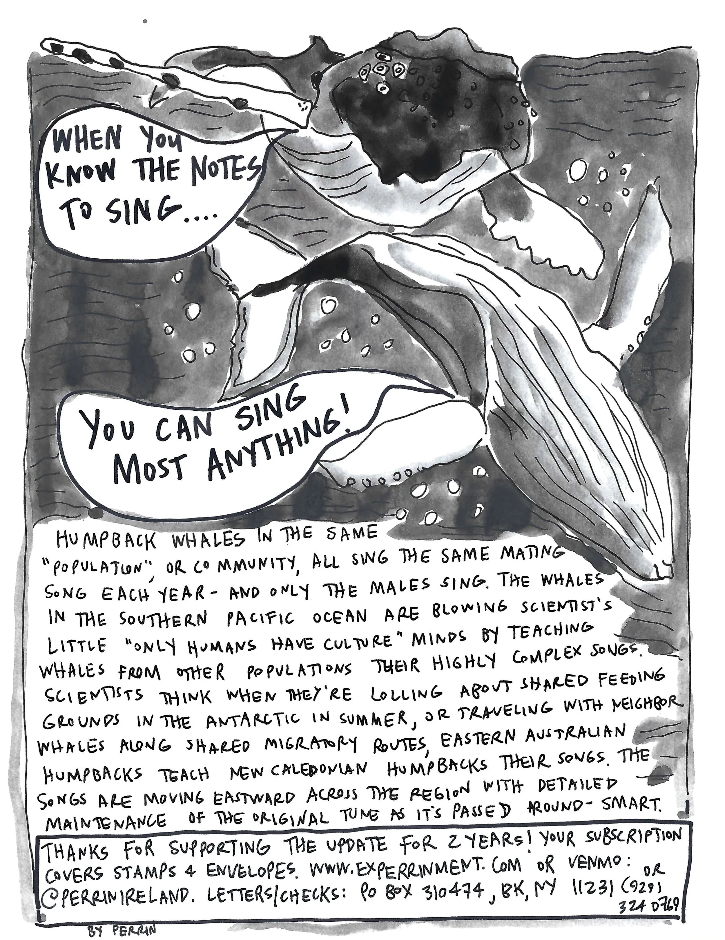 The Perrin R. Ireland Update - August 2022 (Back)