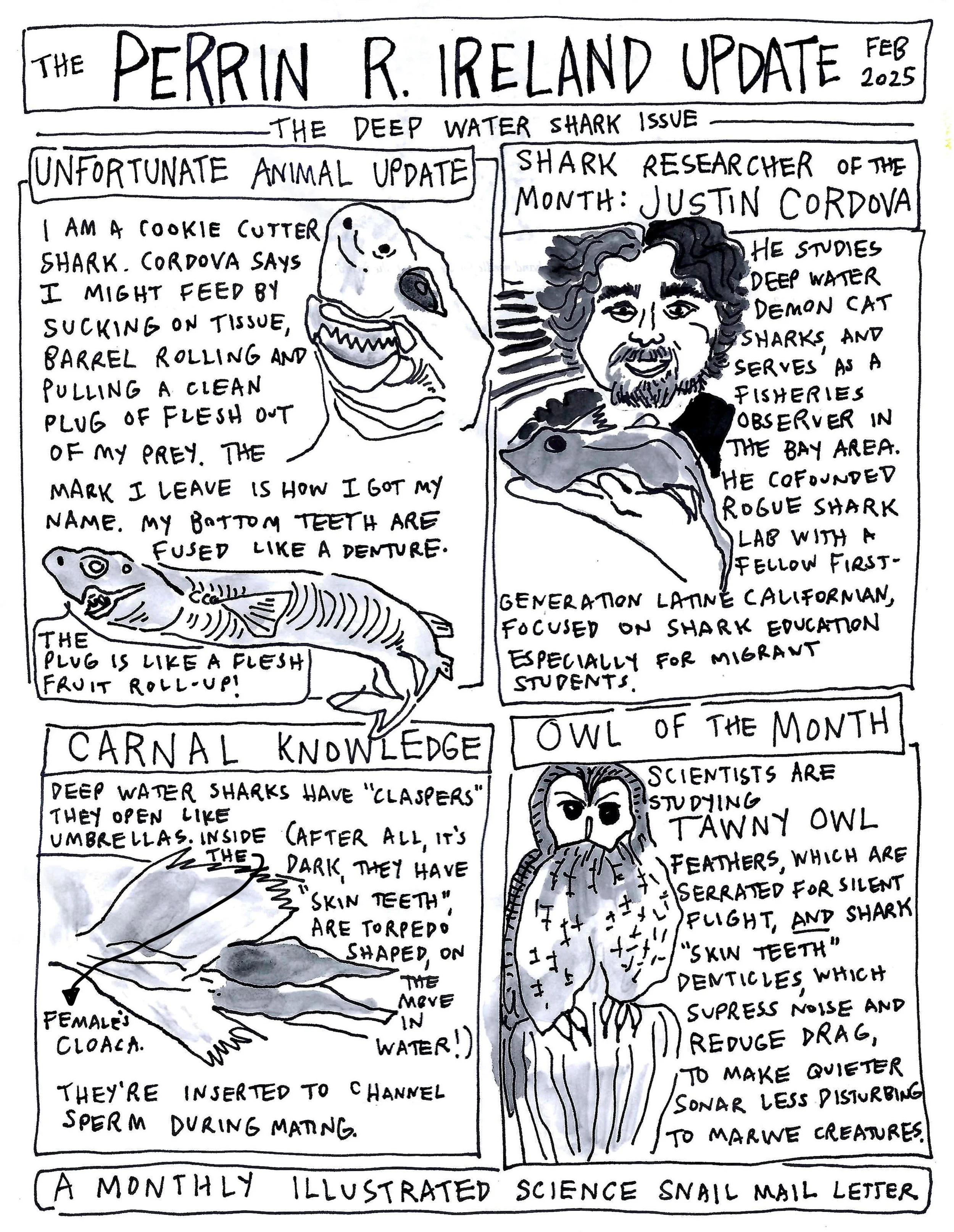 Feb 2025_p01 copy.jpg