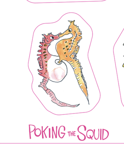 seahorse image 01.png