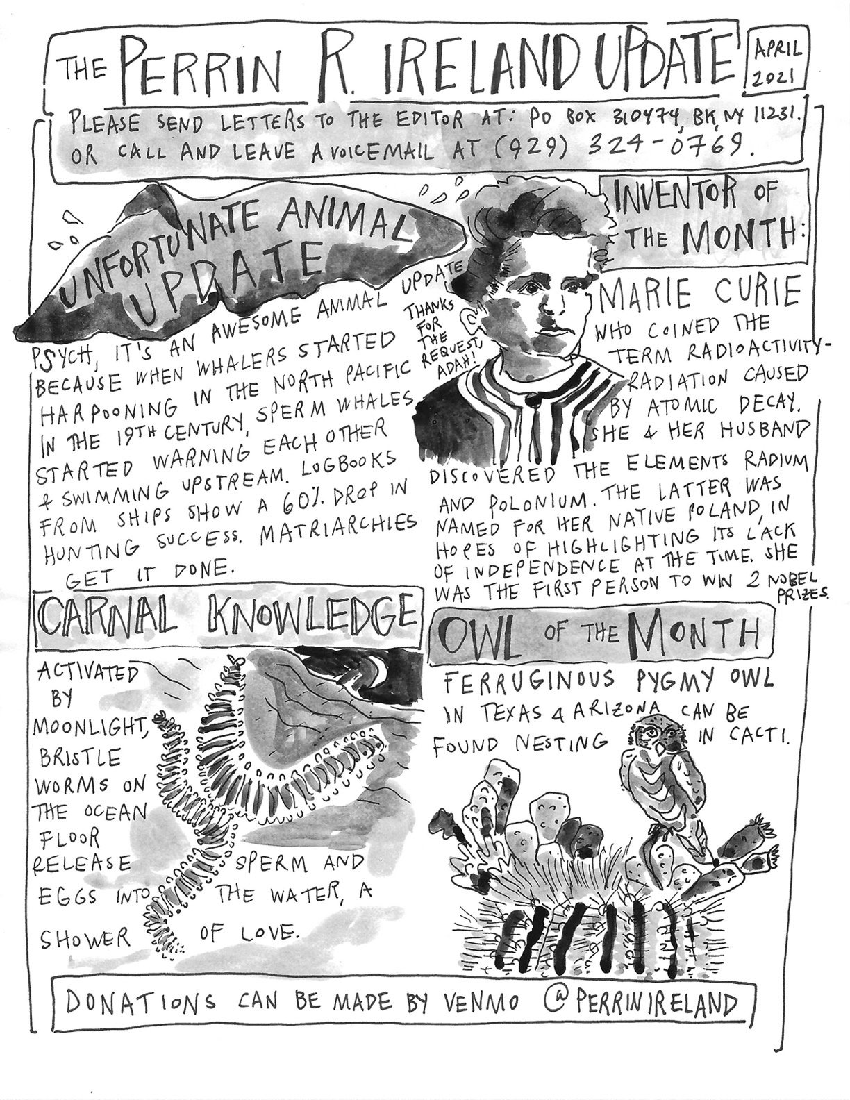 The Perrin R. Ireland Update - April 2021 (Front)