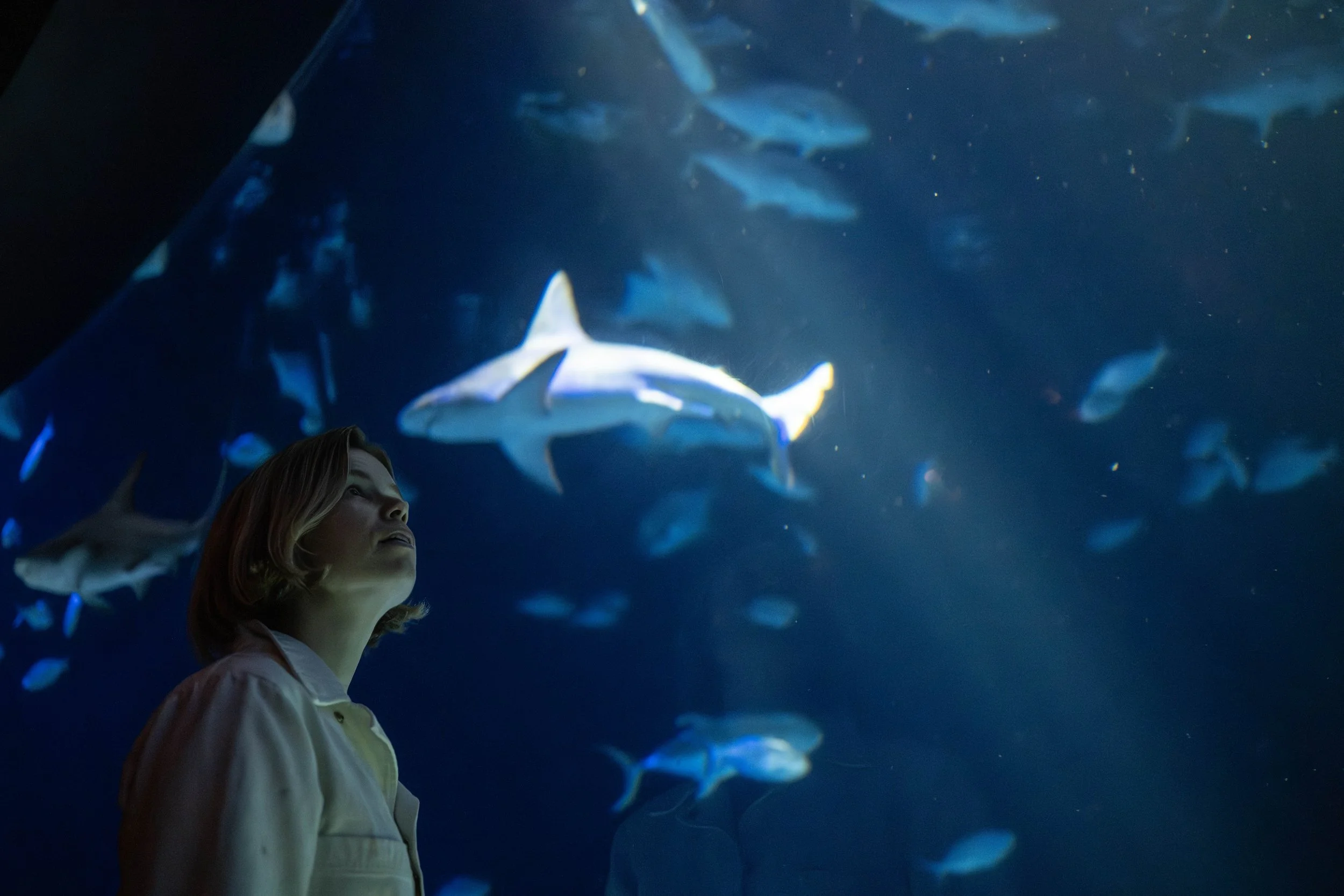 Terria Clay_4387_Artists in Residence and Hudson Canyon Live Stream_OWS_AQ_20250923.jpg