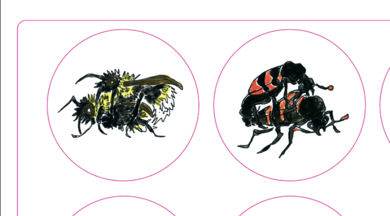bug seks 04.png