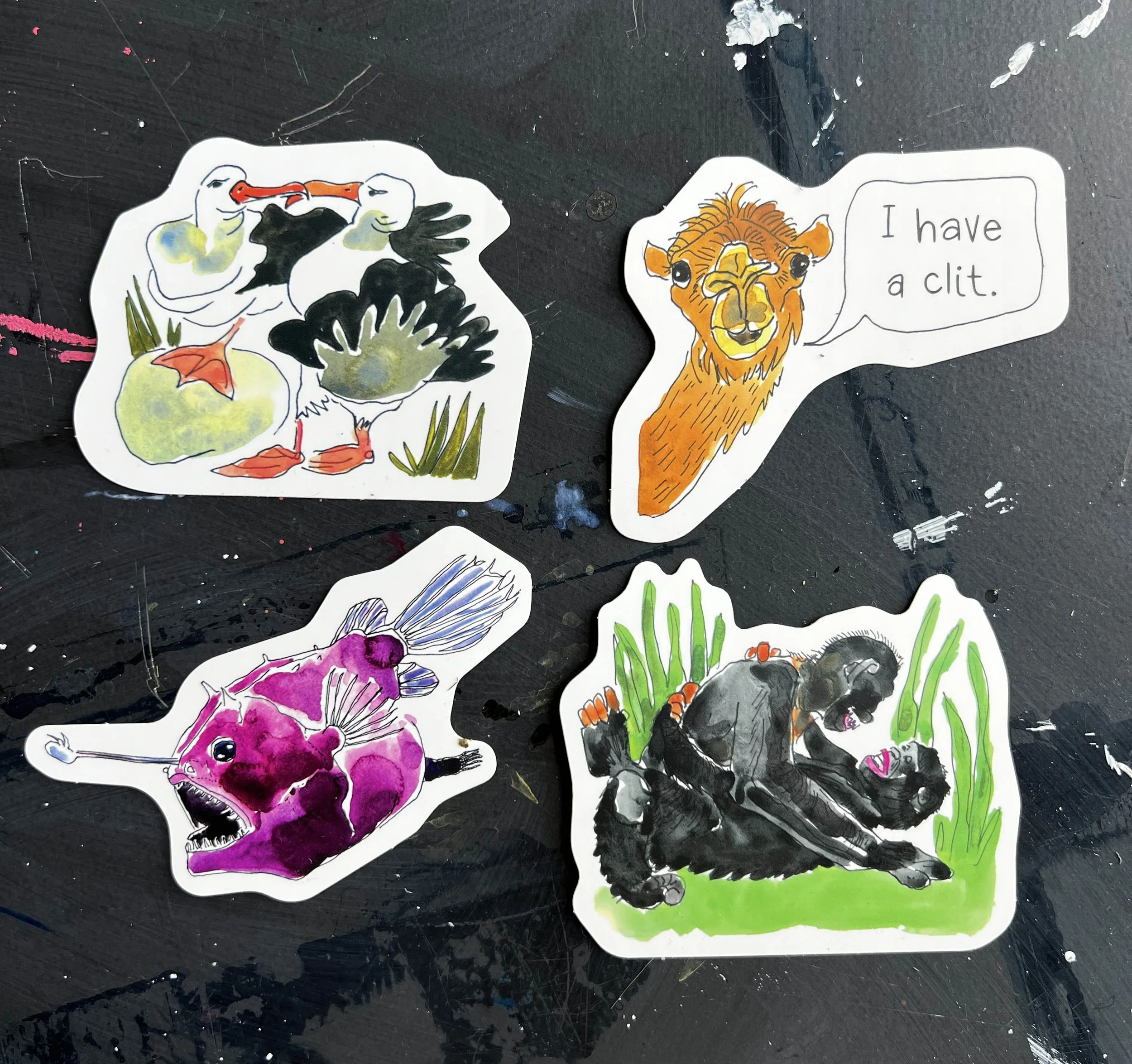 die cut stickers.jpg