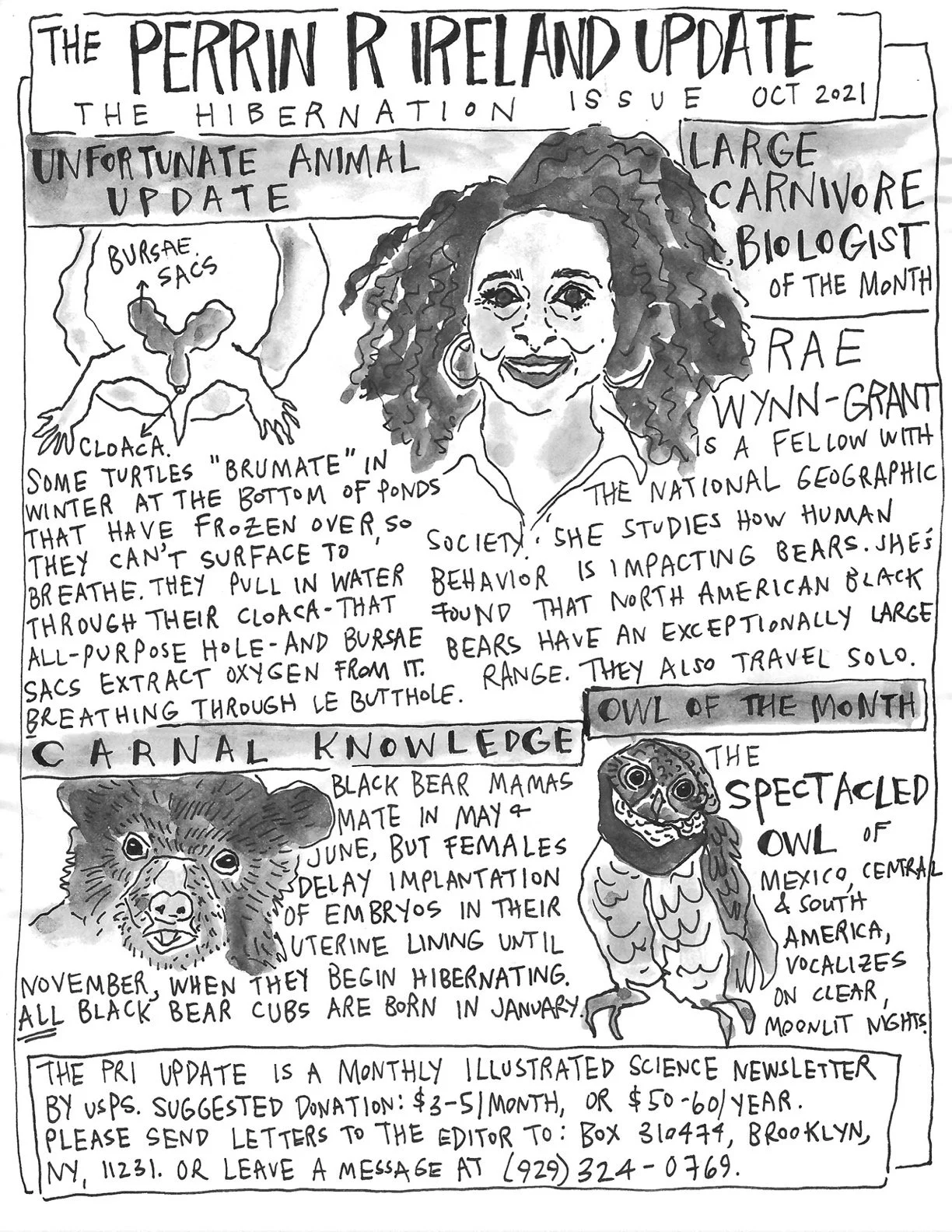 The Perrin R. Ireland Update - October 2021 (Front)