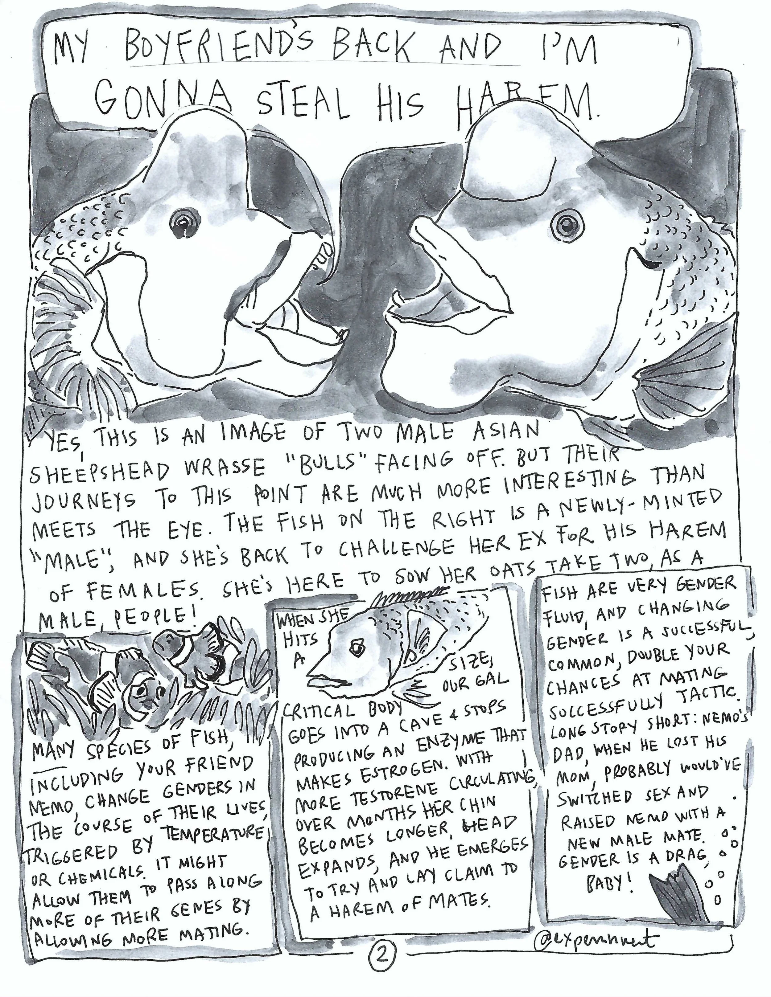 The Perrin R. Ireland Update - March 2022 (Back)