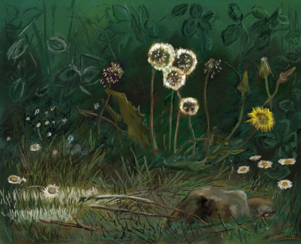 Digital study of Jean-François Millet's "Dandelions"