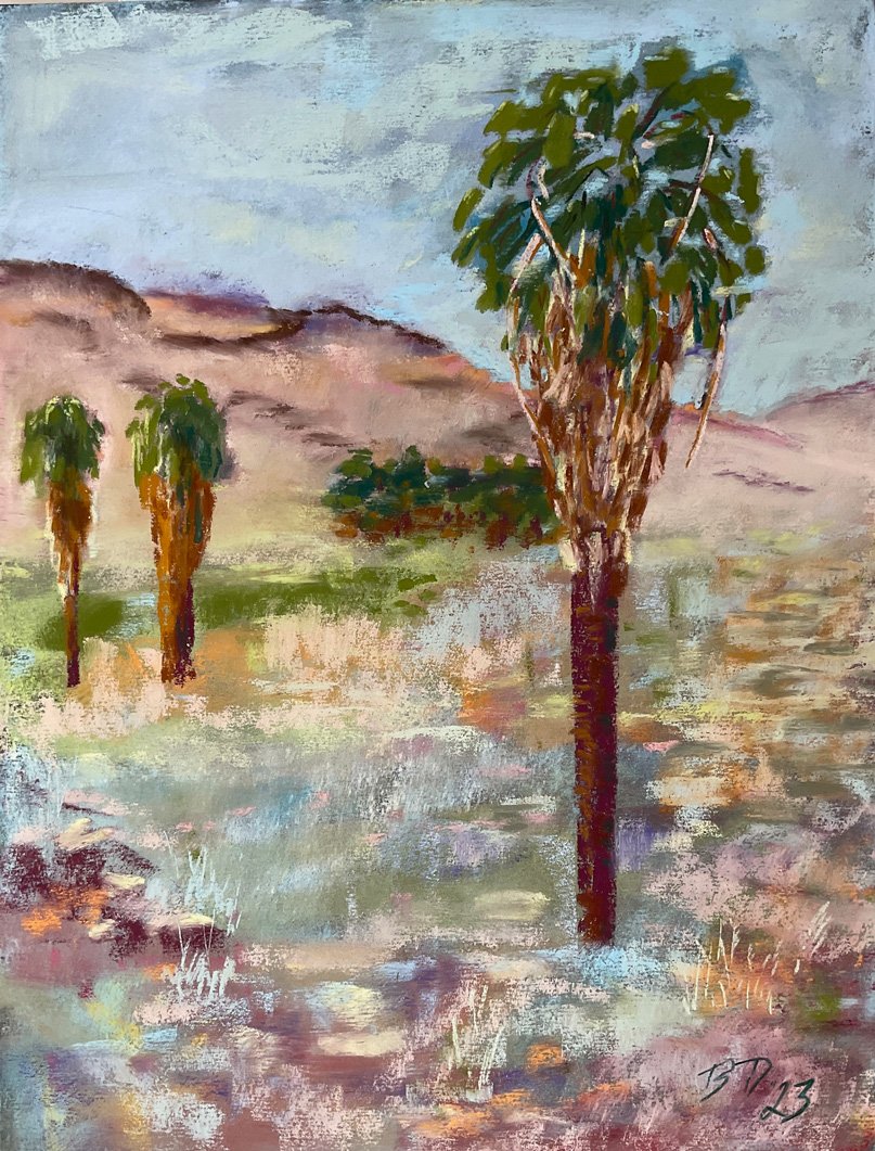 Murray Canyon, Palm Springs
