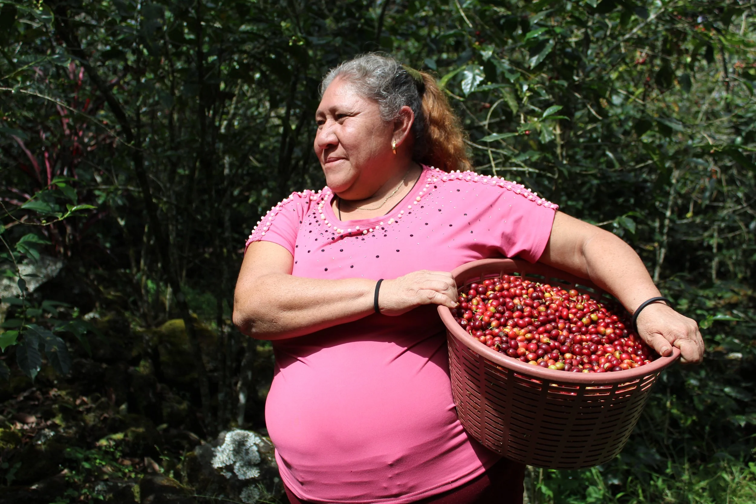 female coffee producer harvesting coffee - community impact