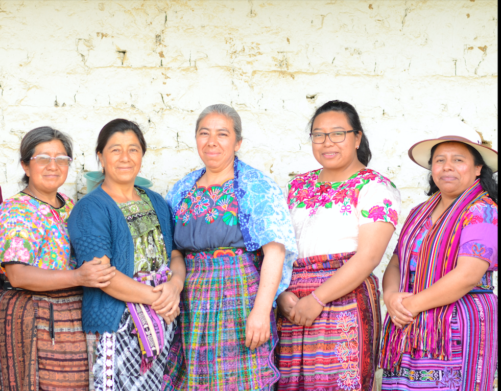 Equipo producción Plantas.png
