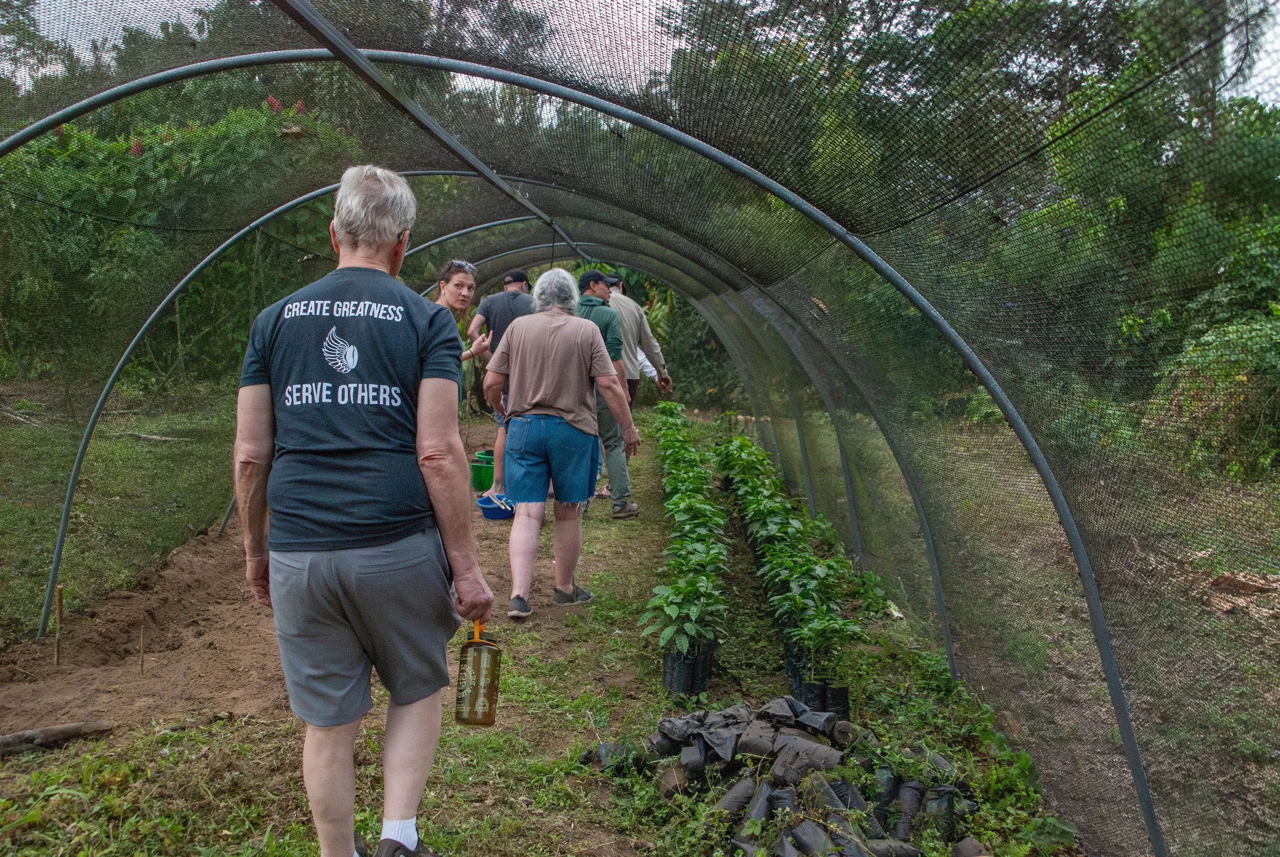 Coffee roasters walking along a coffee nursery in the San Marcos coffee growing region in Guatemala during an origin trip