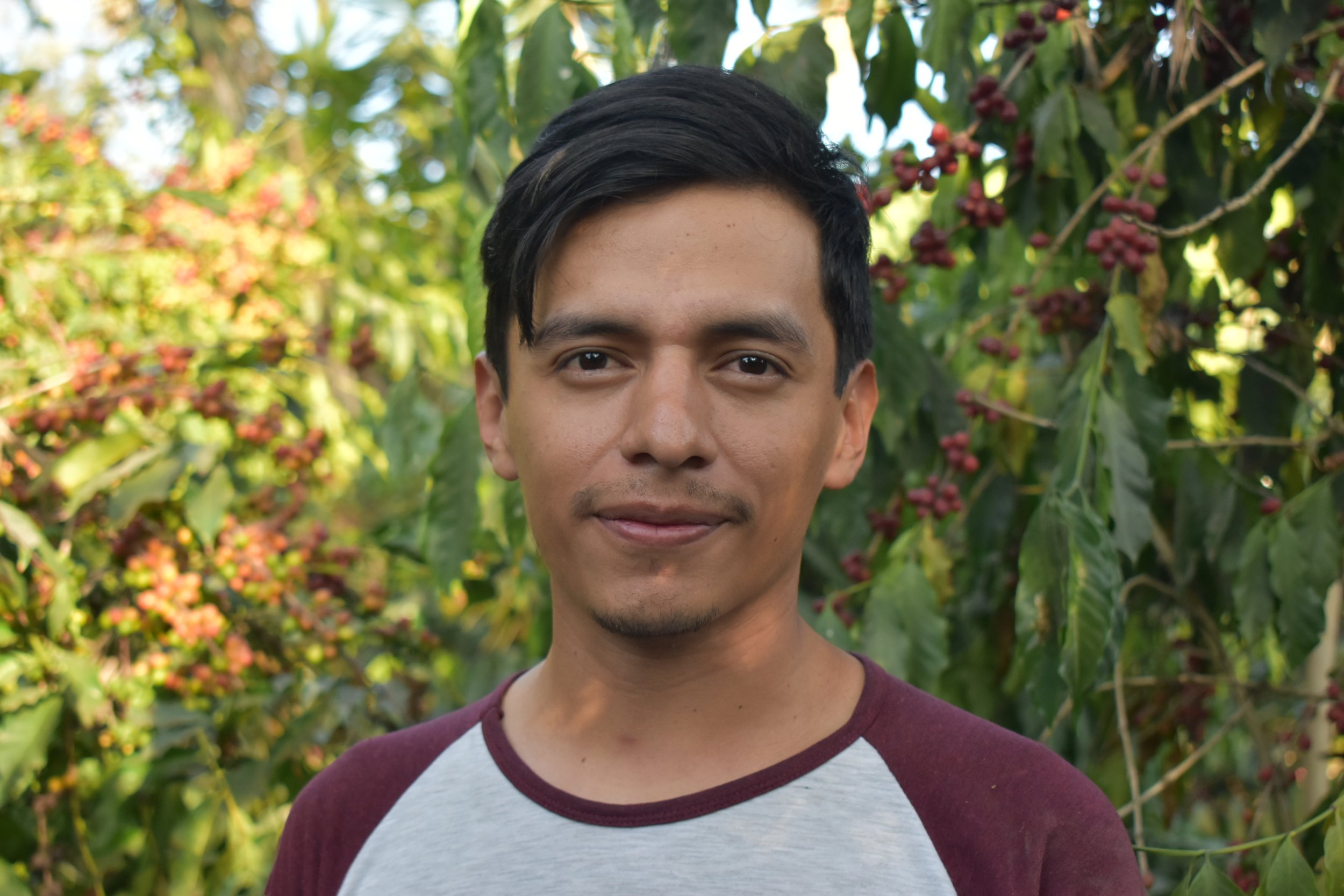 young entrepreneur and coffee producer in Antigua Guatemala | encouraging youth leaders to remain in coffee cultivation as drivers of change