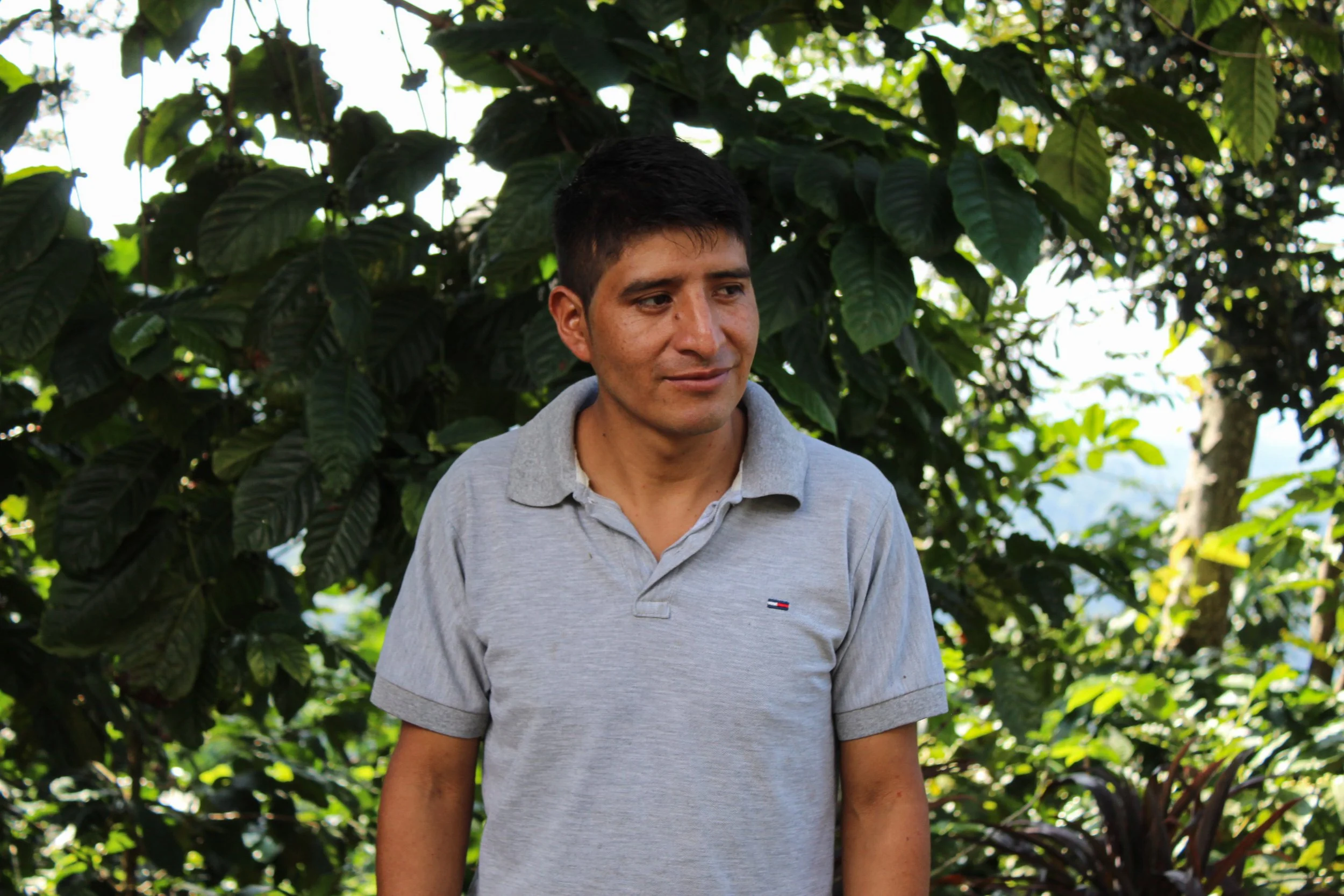 Young coffee producer of La Suiza standing by coffee trees | coffee communities in guatemala