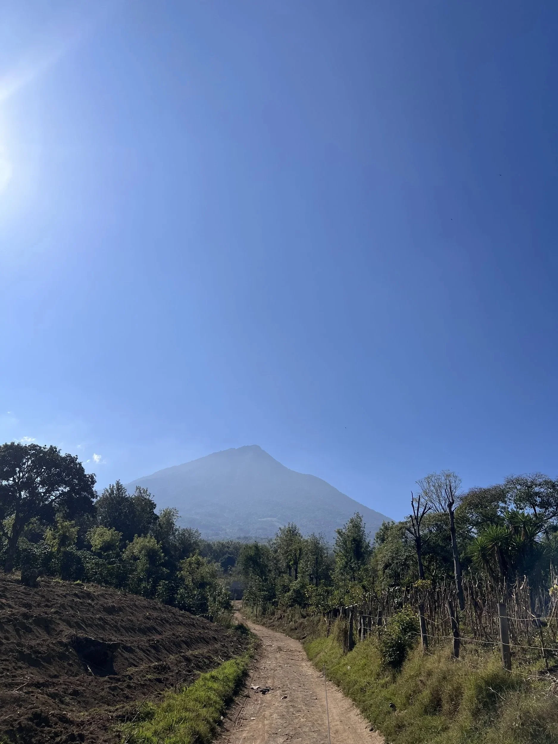 Coffee Farm in Antigua Guatemala | The future of coffee