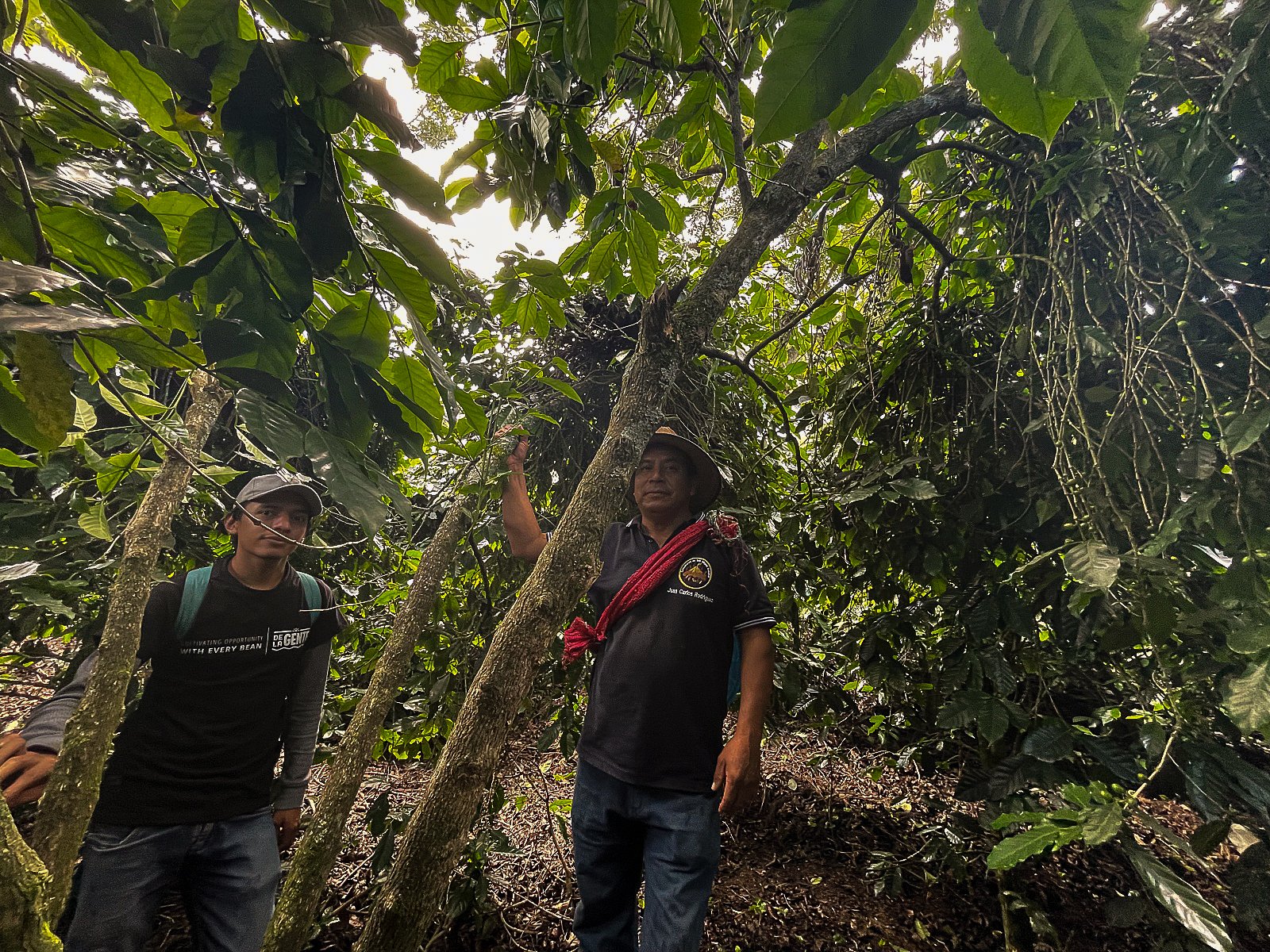 Coffee farmer and son | guatemalan coffee famers