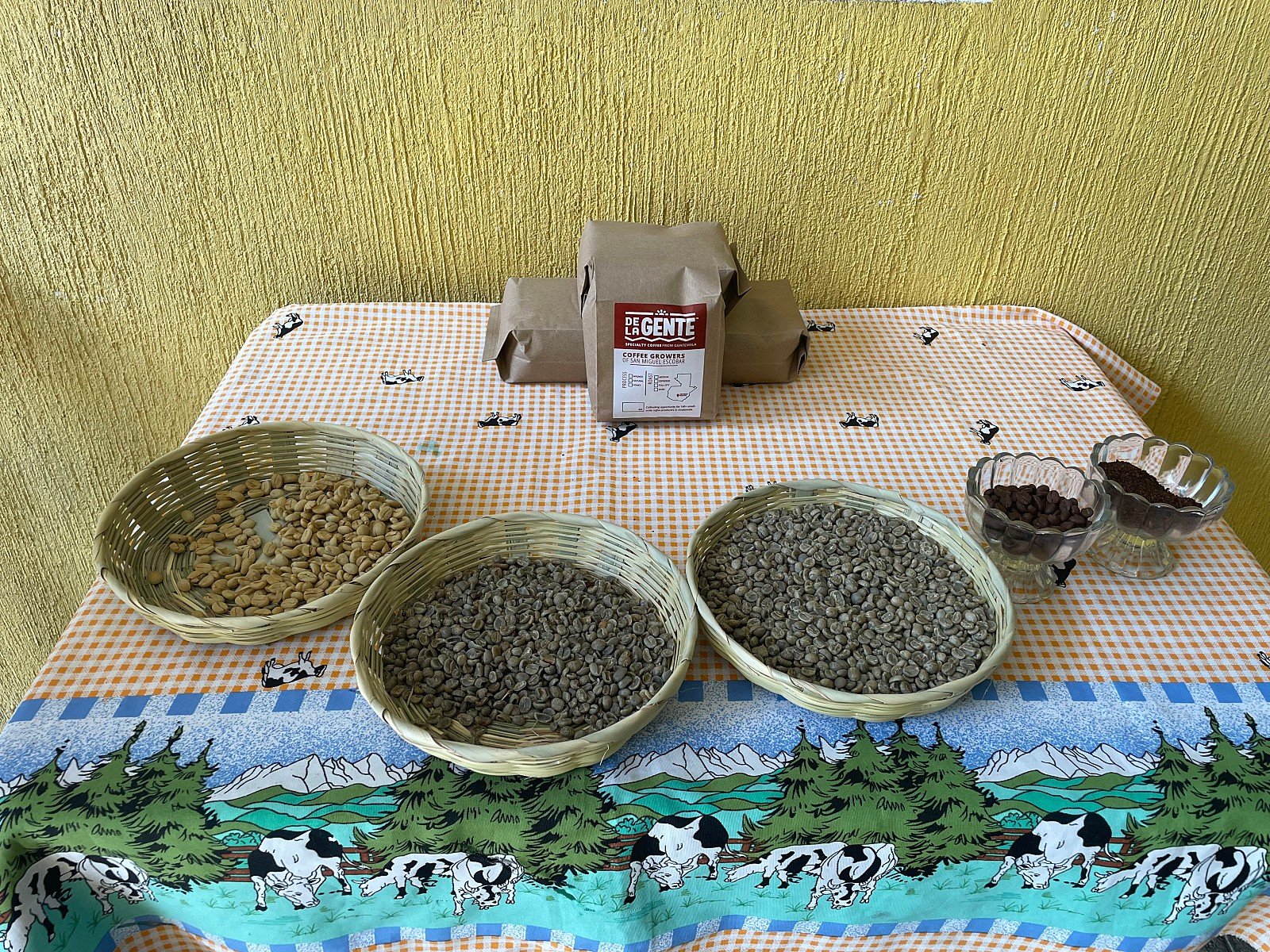 stages of washed process coffee