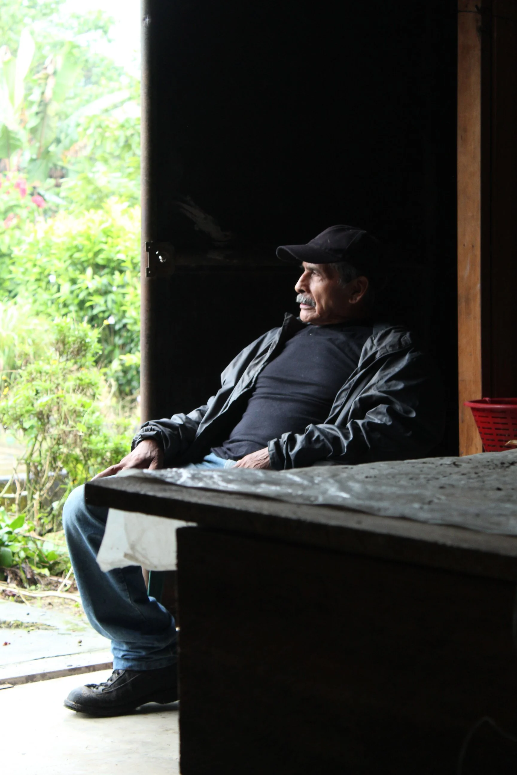 coffee producer reflecting on methods towards producing organic coffee in Guatemala