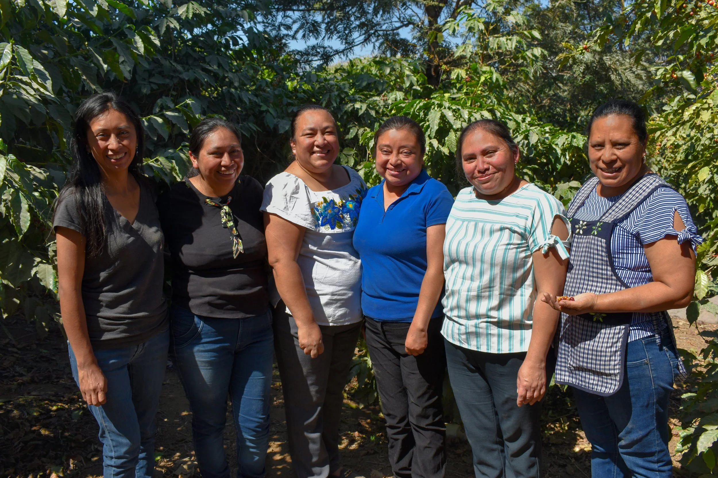 Women coffee producers standing together at coffee fields and smiling to the camera | women accelerating change