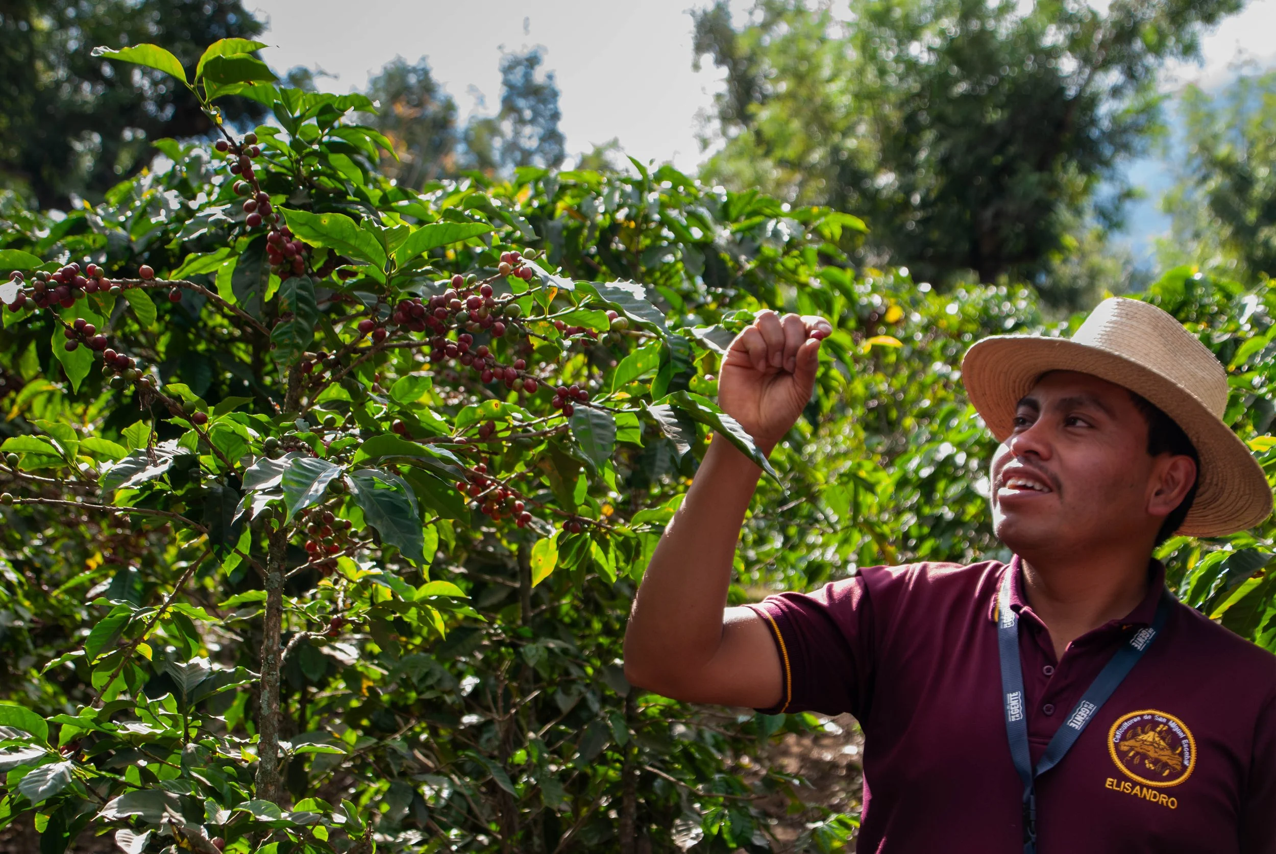 Coffee farmer from the Antigua region in Guatemala expalining the planting process | honoring our roots through creating awareness