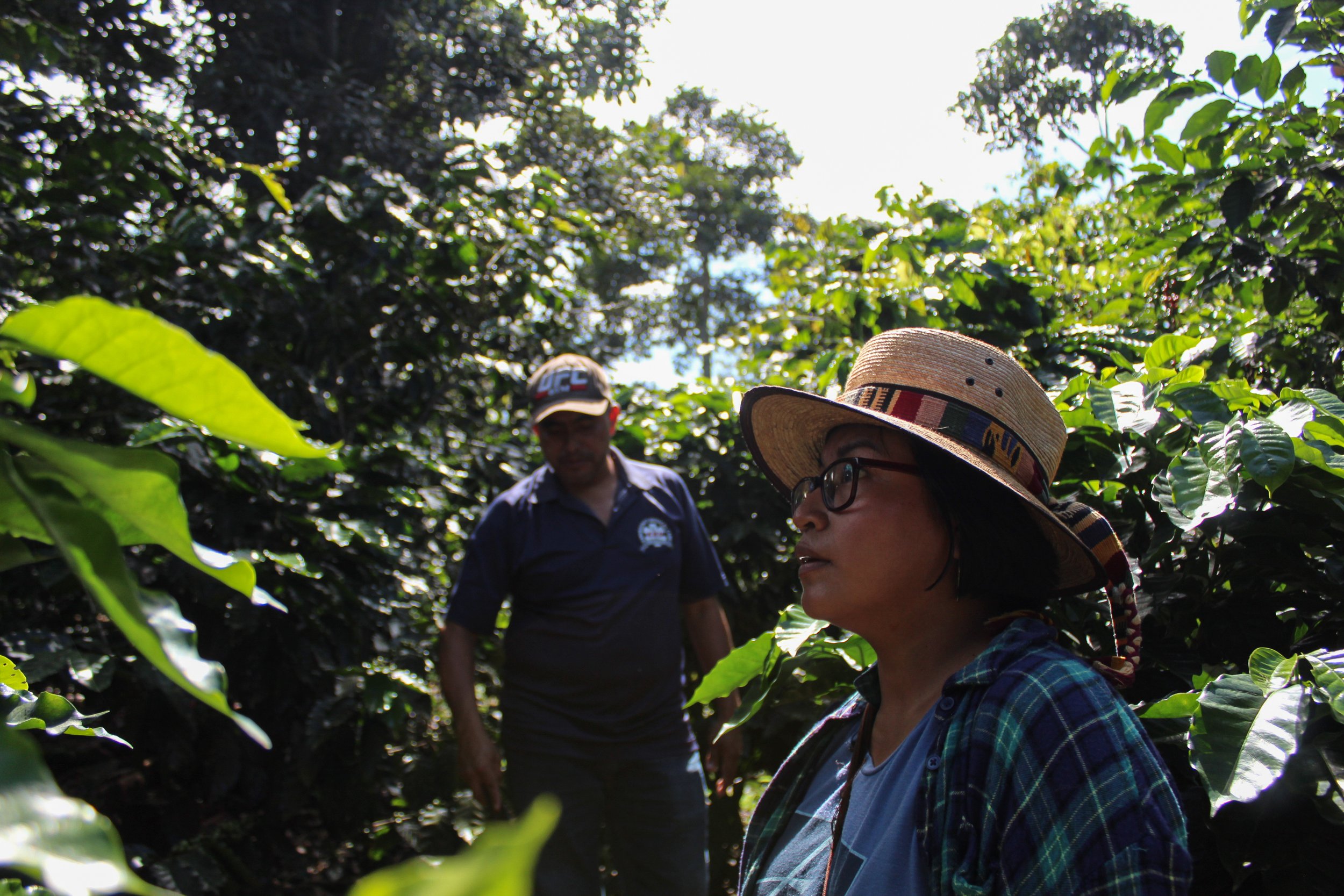 coffee producers in coffee region of San Marcos Guatemala | working towards organic coffee