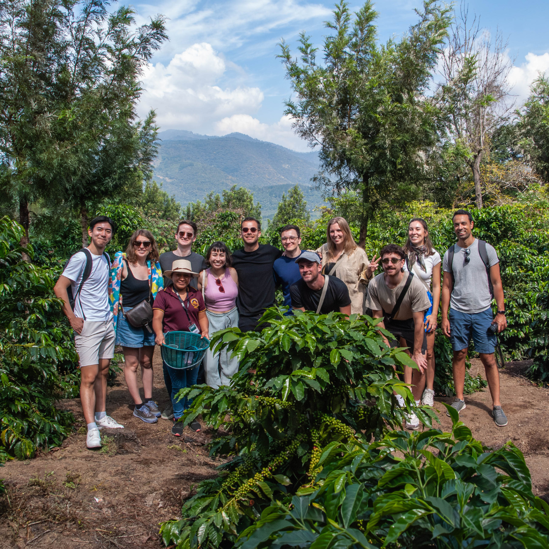 tourists posing in front of a camera during a coffee tour | Smallholder Income Diversification