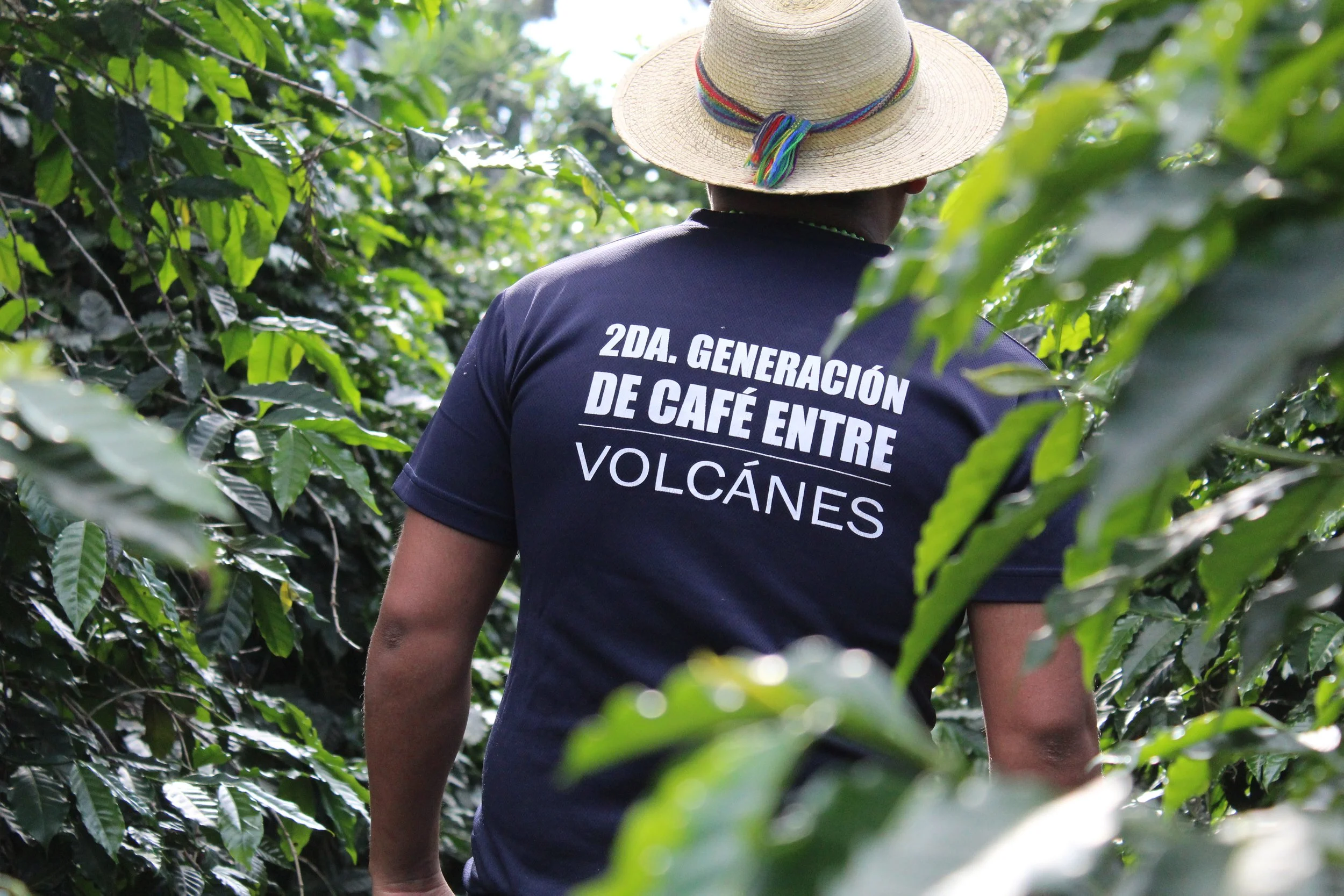 young farmers in Guatemala | coffee producers are drivers of change shaping coffee