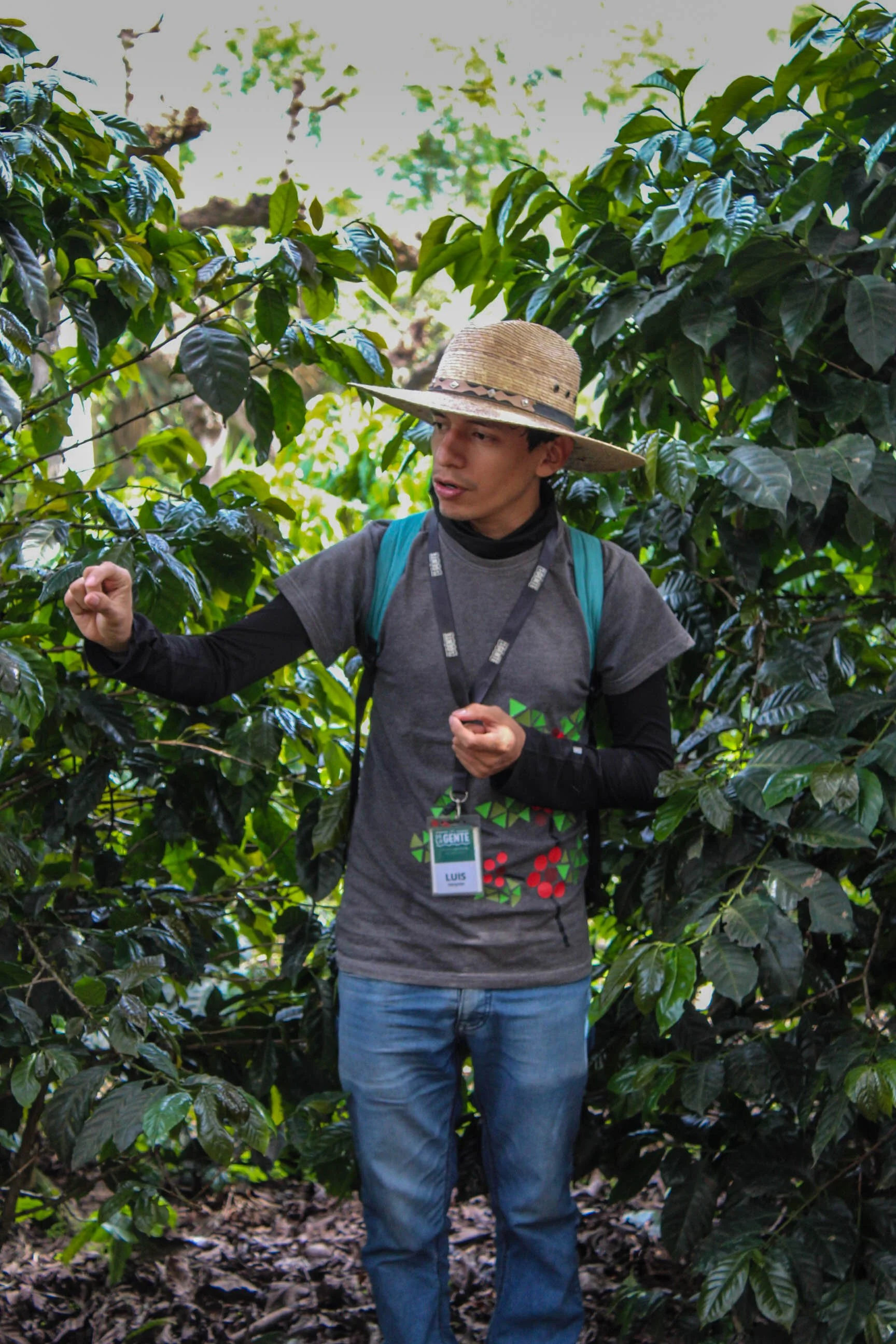 Interpreter Luis explaining the process of coffee cultivation during coffee tour with De La Gente | Interpreter roles in local tourism