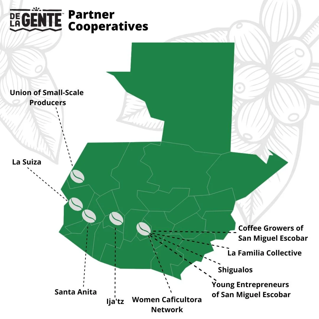 DLG partner cooperatives - single origin coffee regions