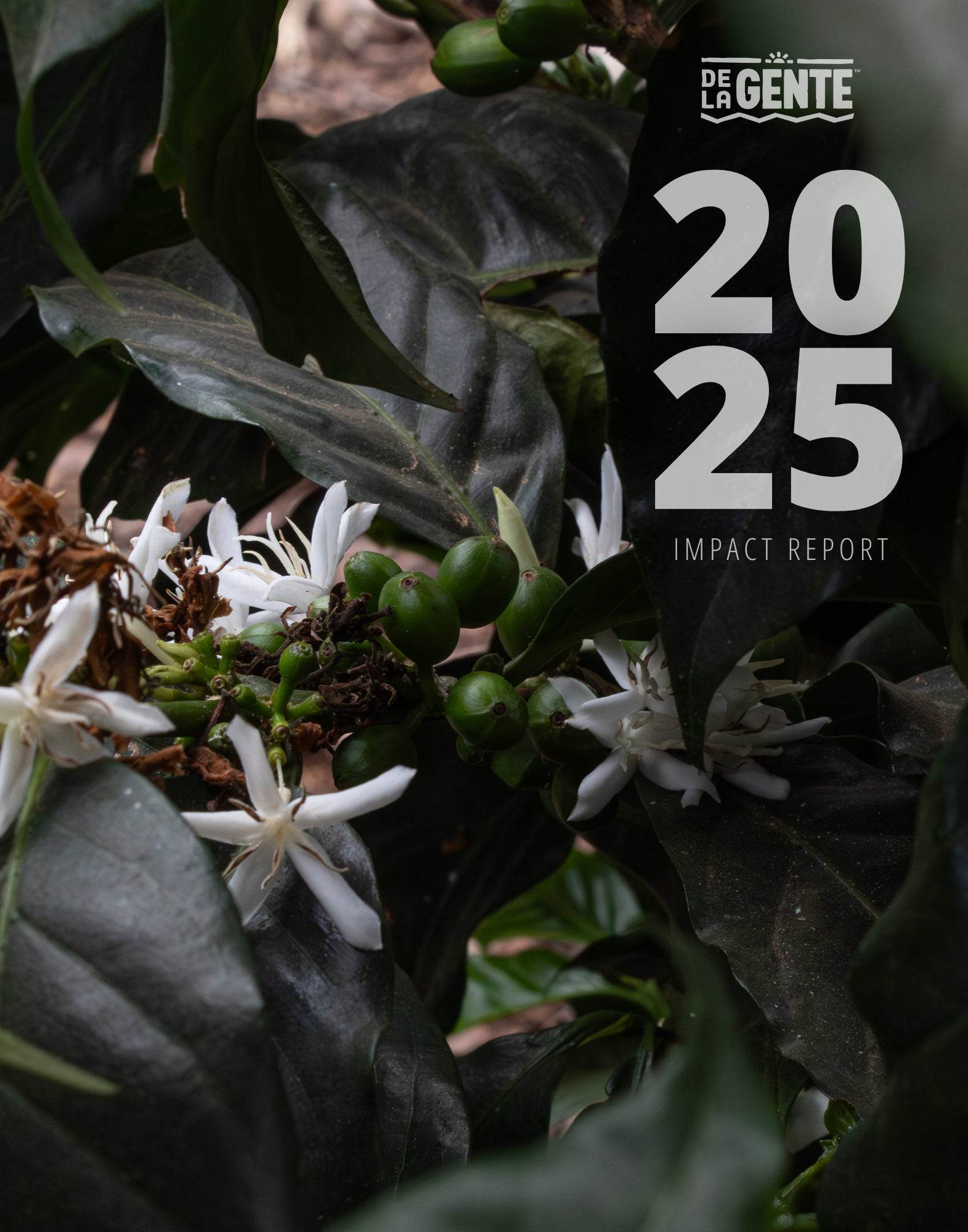 De La Gente 2025 impact report