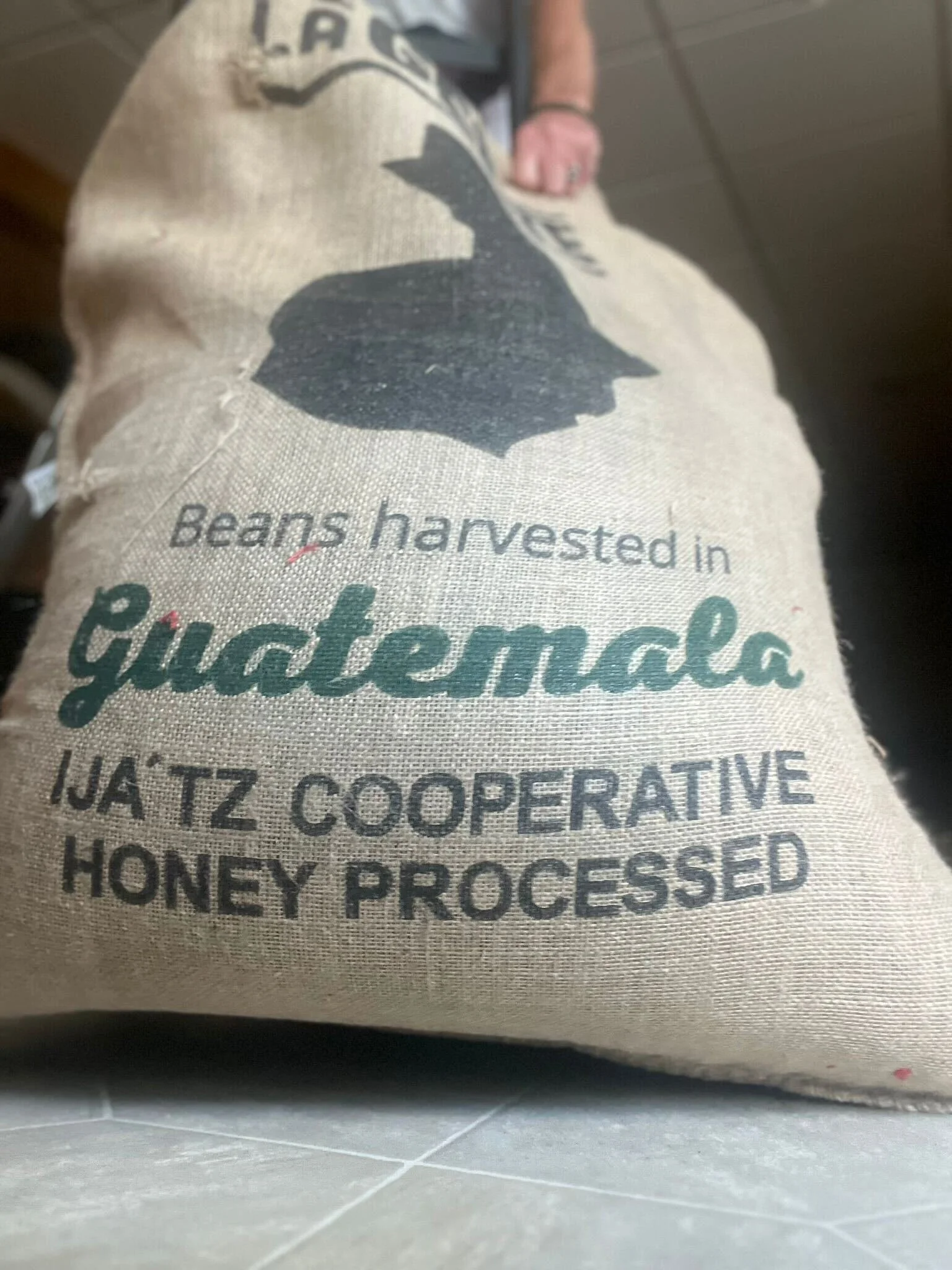 Yute sack of honey processed coffee - guatemalan coffee