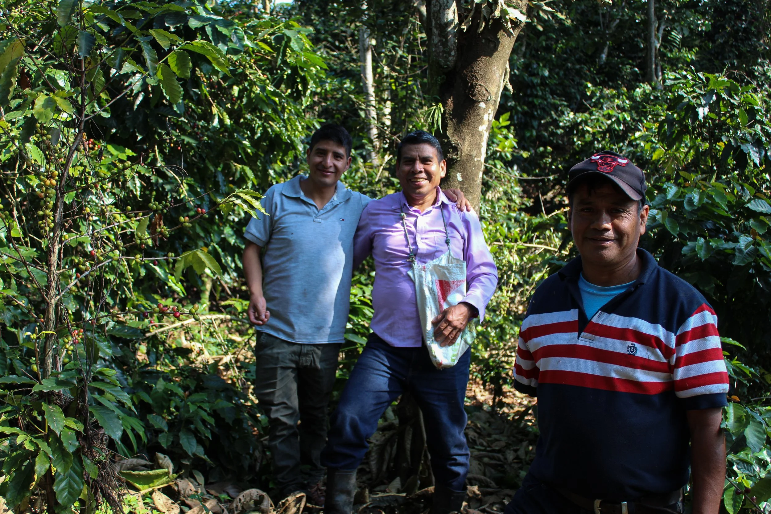 Coffee cooperative members posing to the camera in coffee plantation in Guatemala